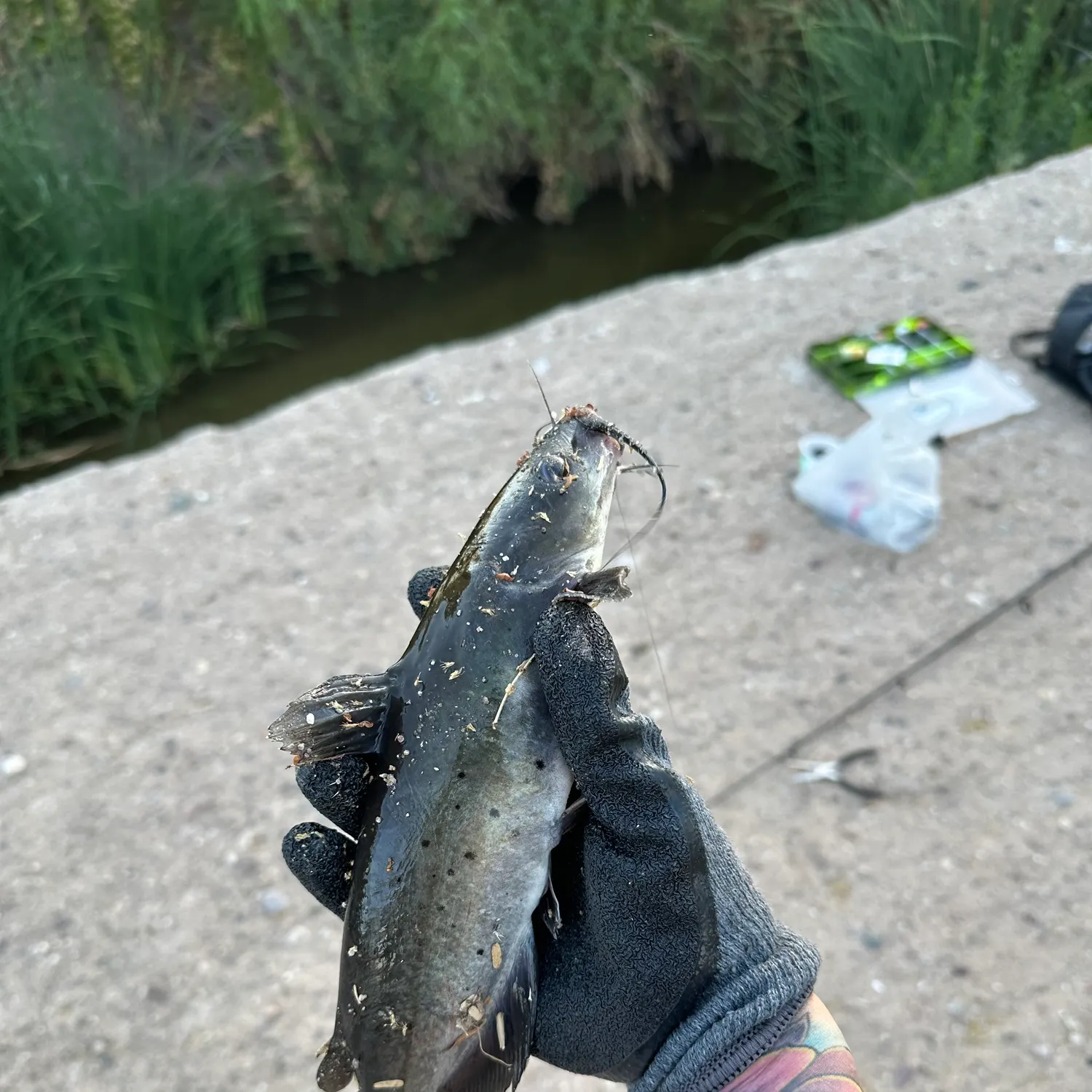 catch