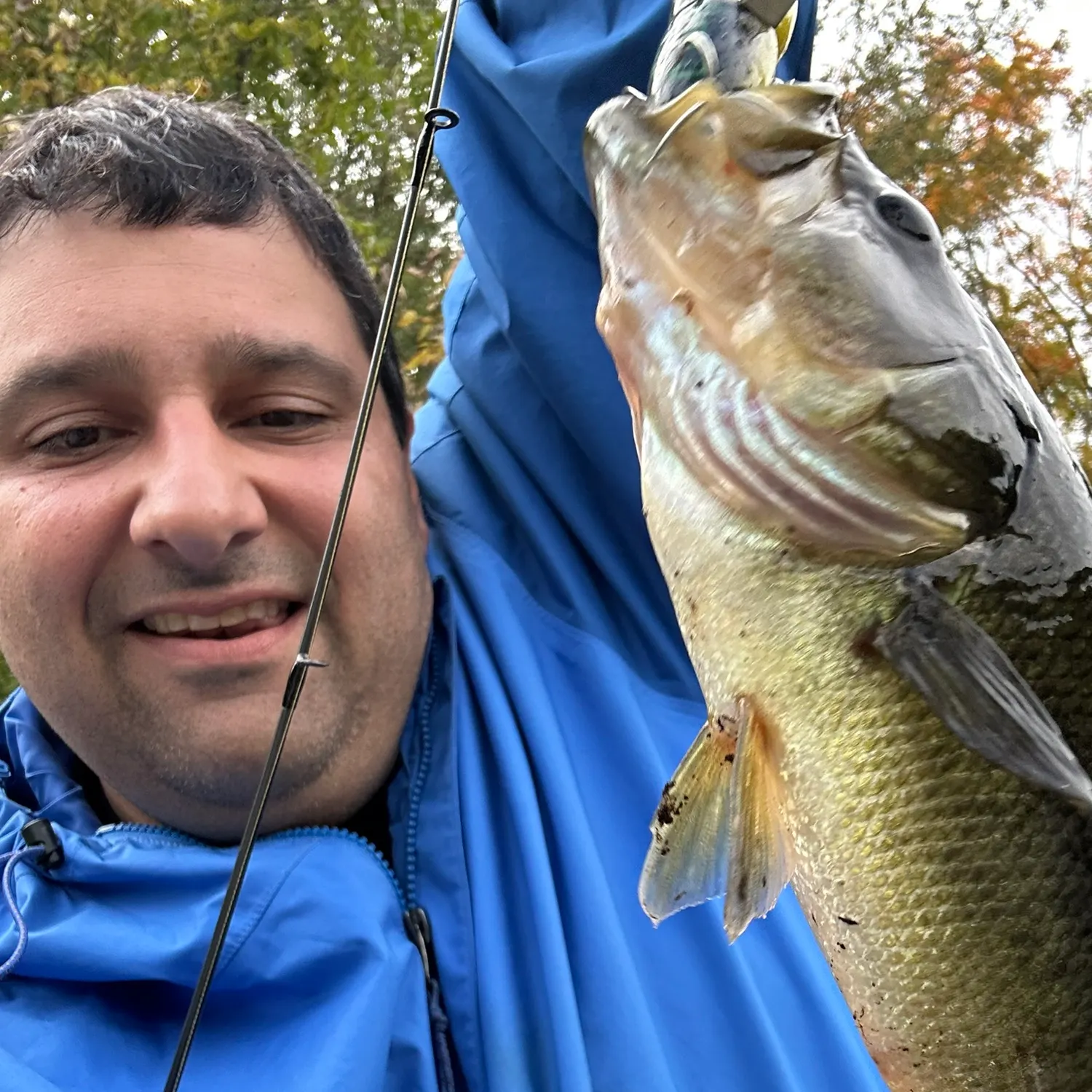 Largemouth bass caught on Fishbrain