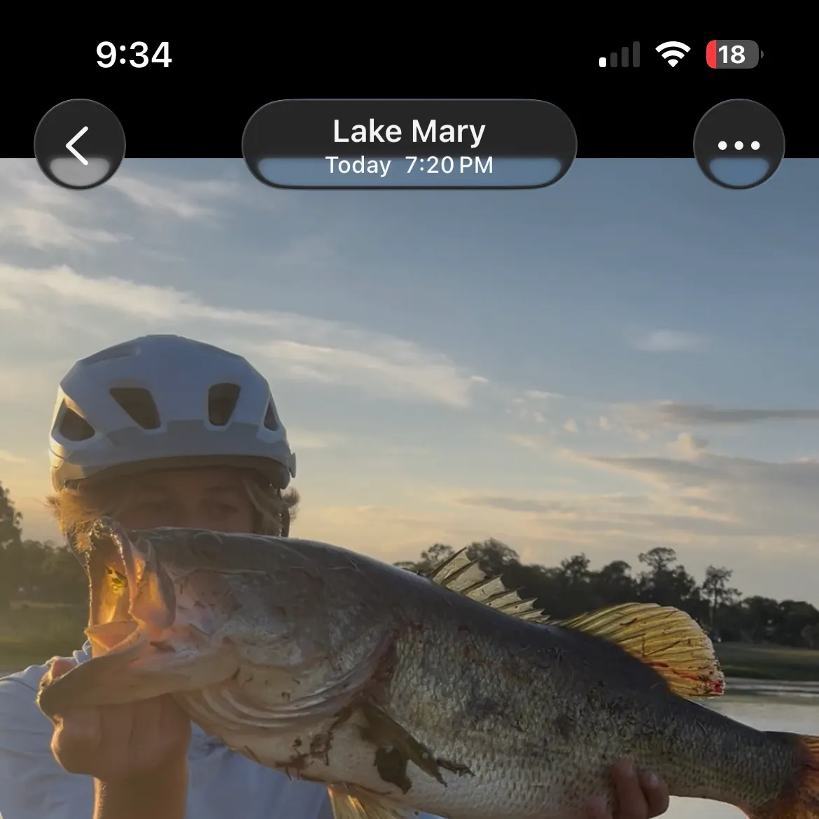 recently logged catches