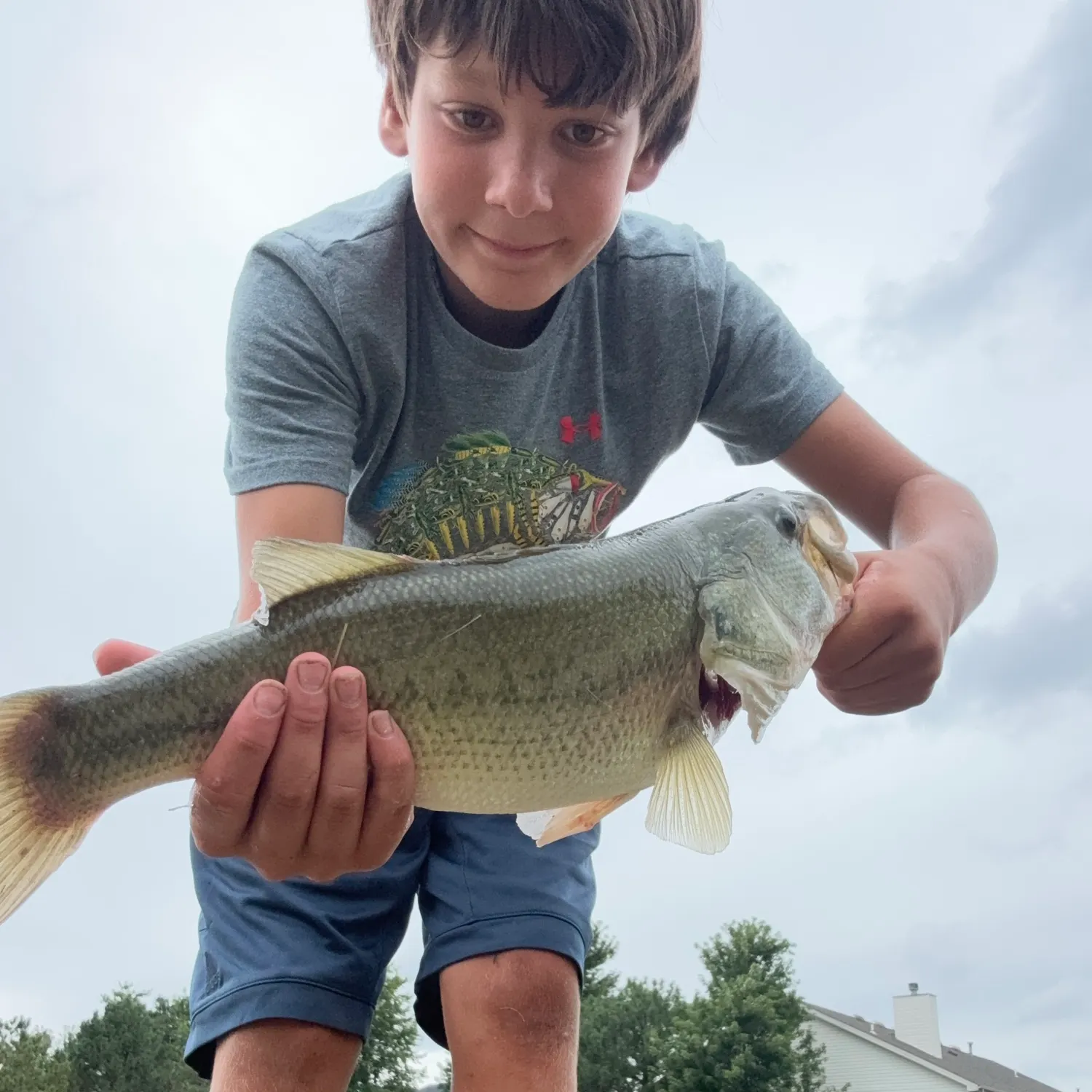 Largemouth bass caught on Fishbrain