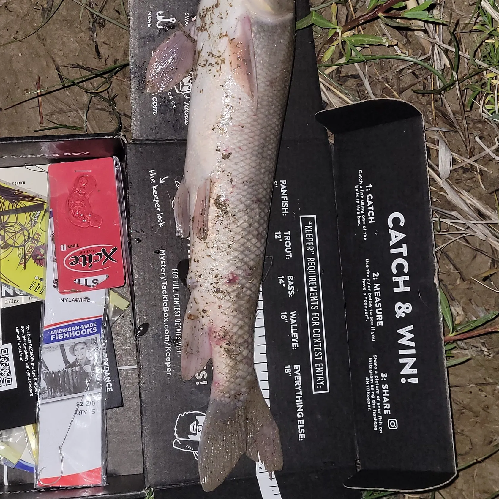 recently logged catches