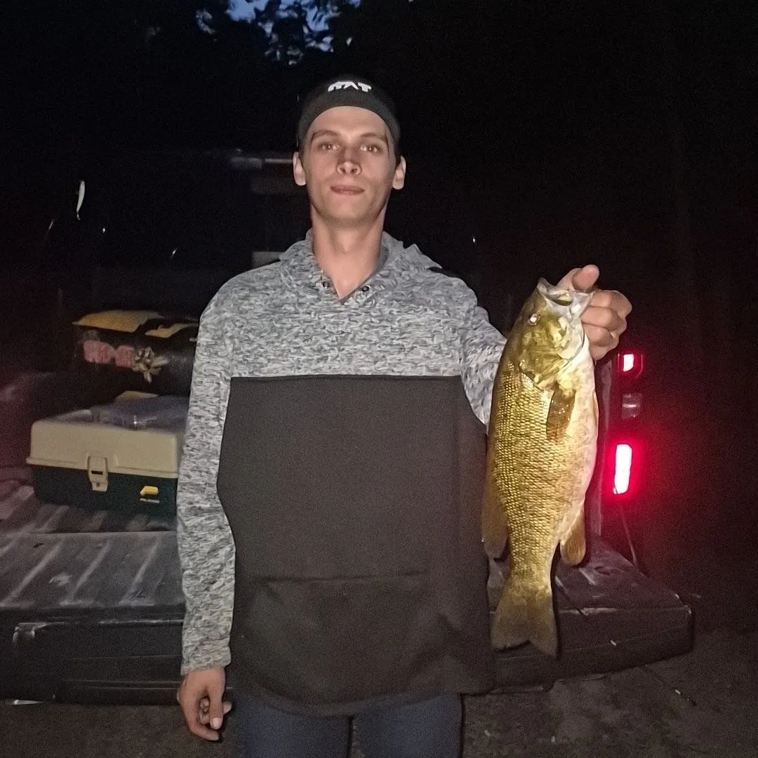 Smallmouth bass caught on Fishbrain