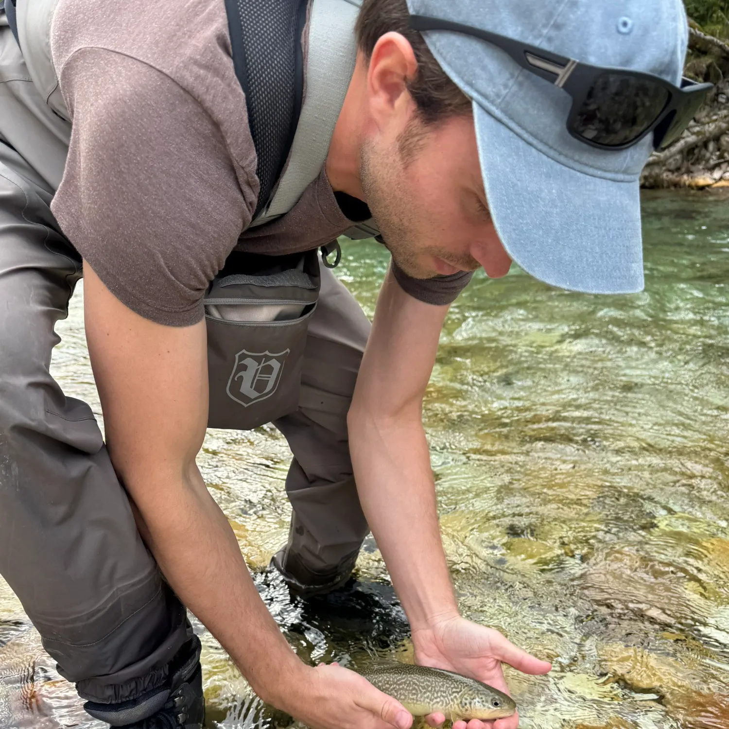 The most recent Marble trout catches on Fishbrain