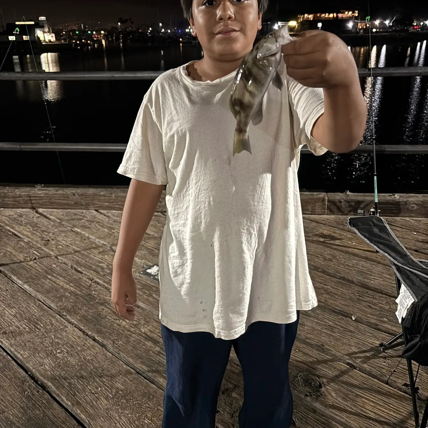 Barred sand bass caught on Fishbrain