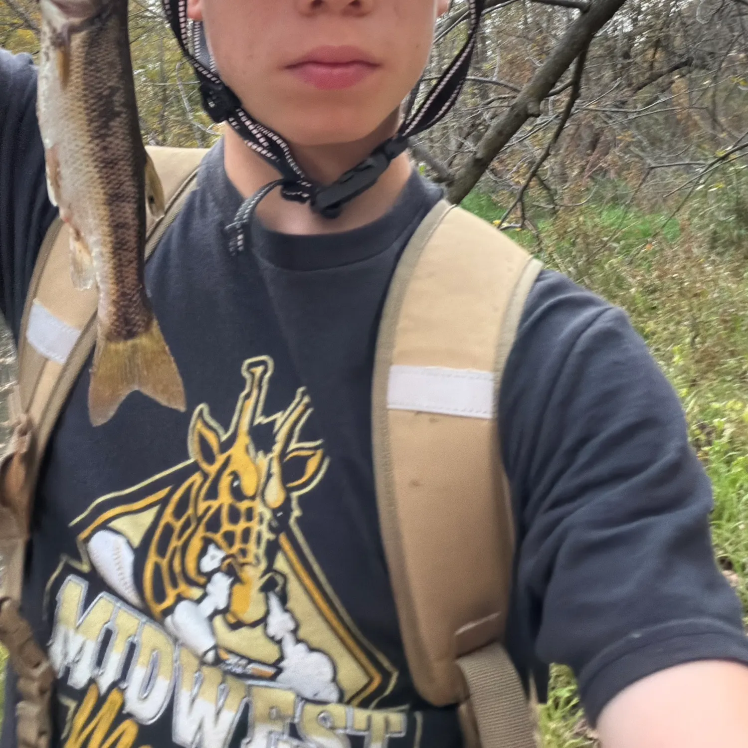 Creek chub caught on Fishbrain