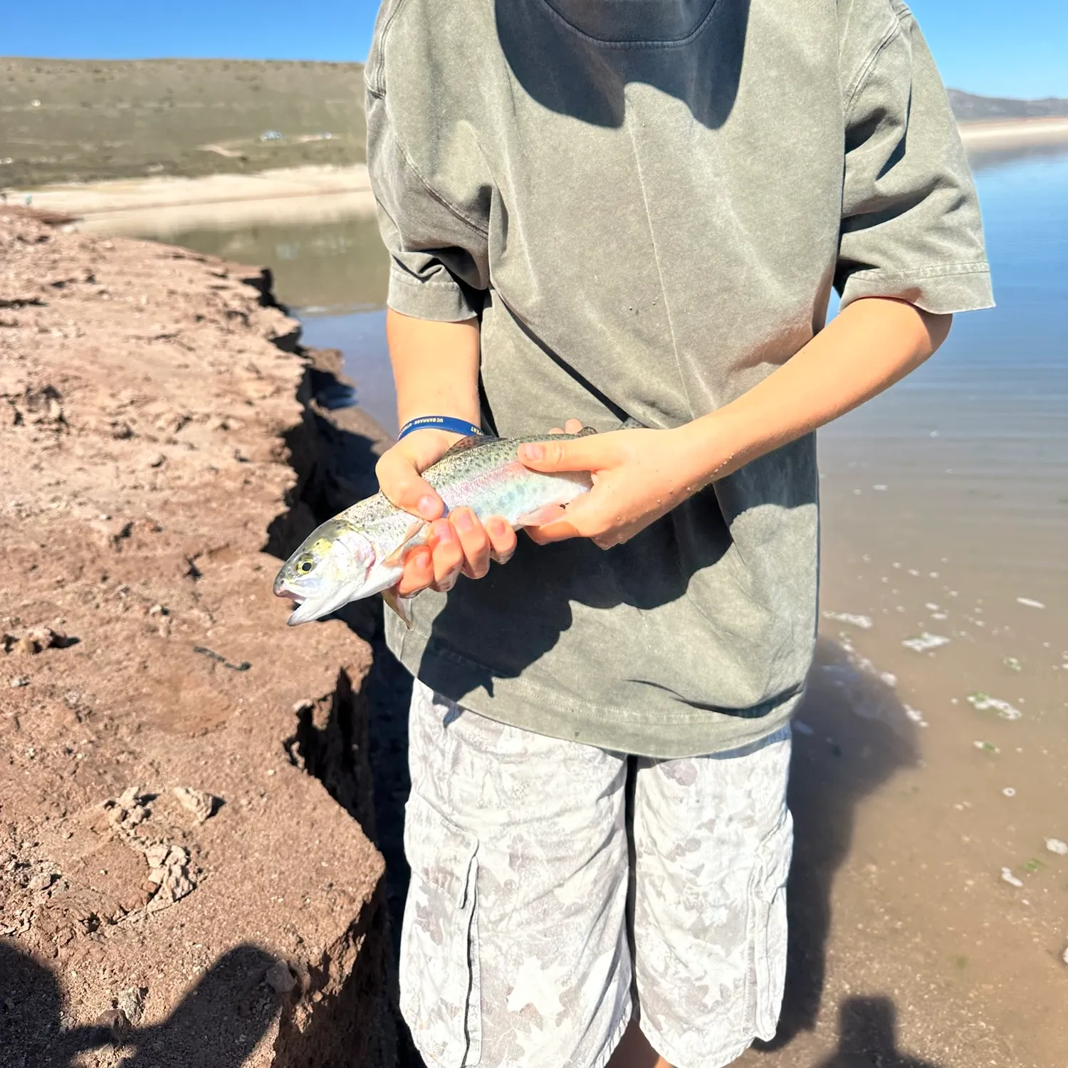 Rainbow trout caught on Fishbrain