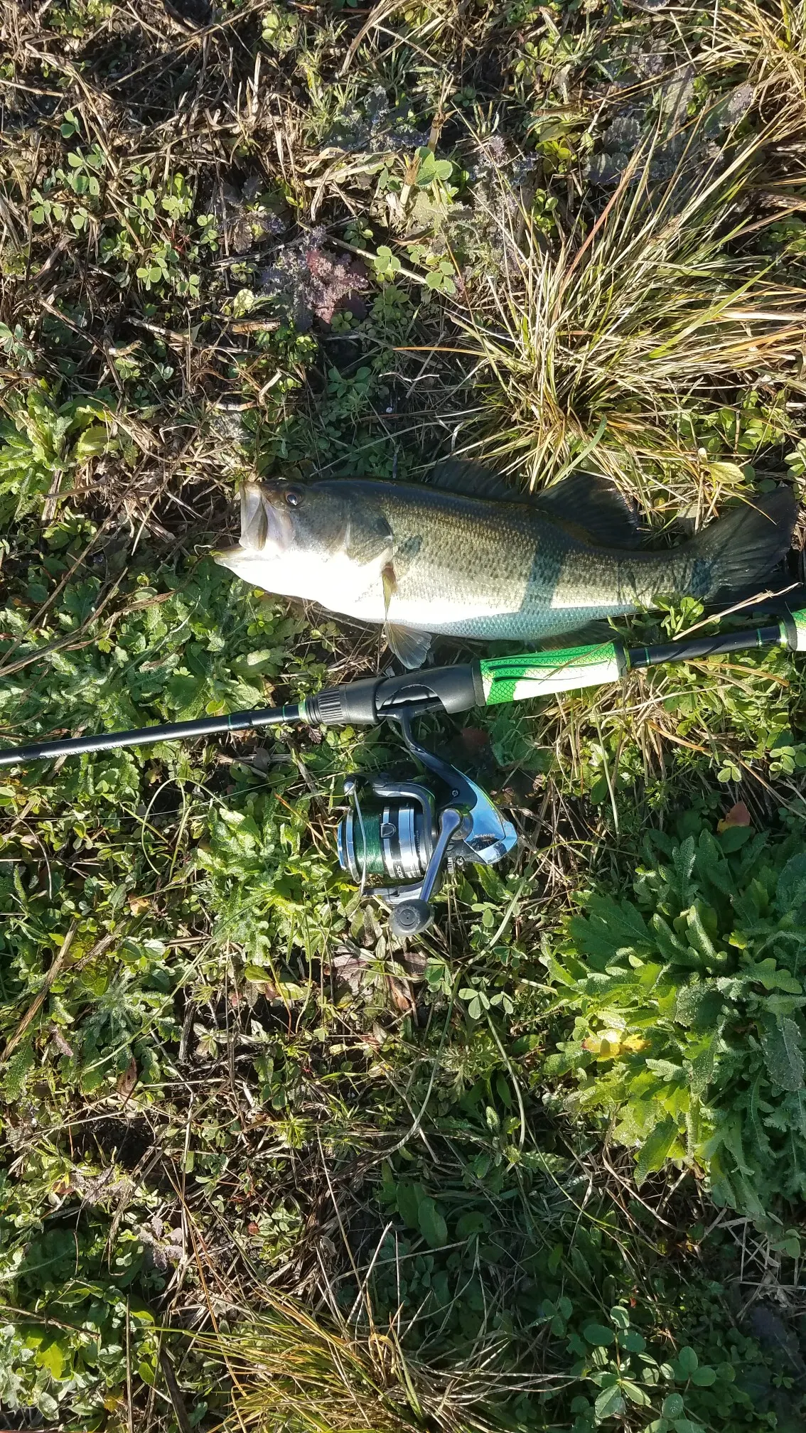 Post image from agraham5897