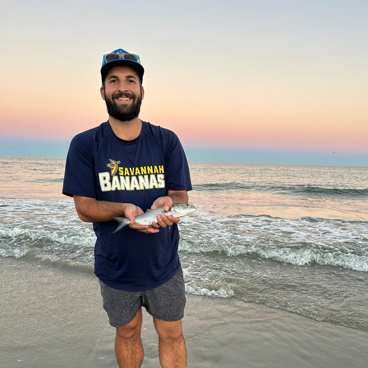 Bluefish caught on Fishbrain