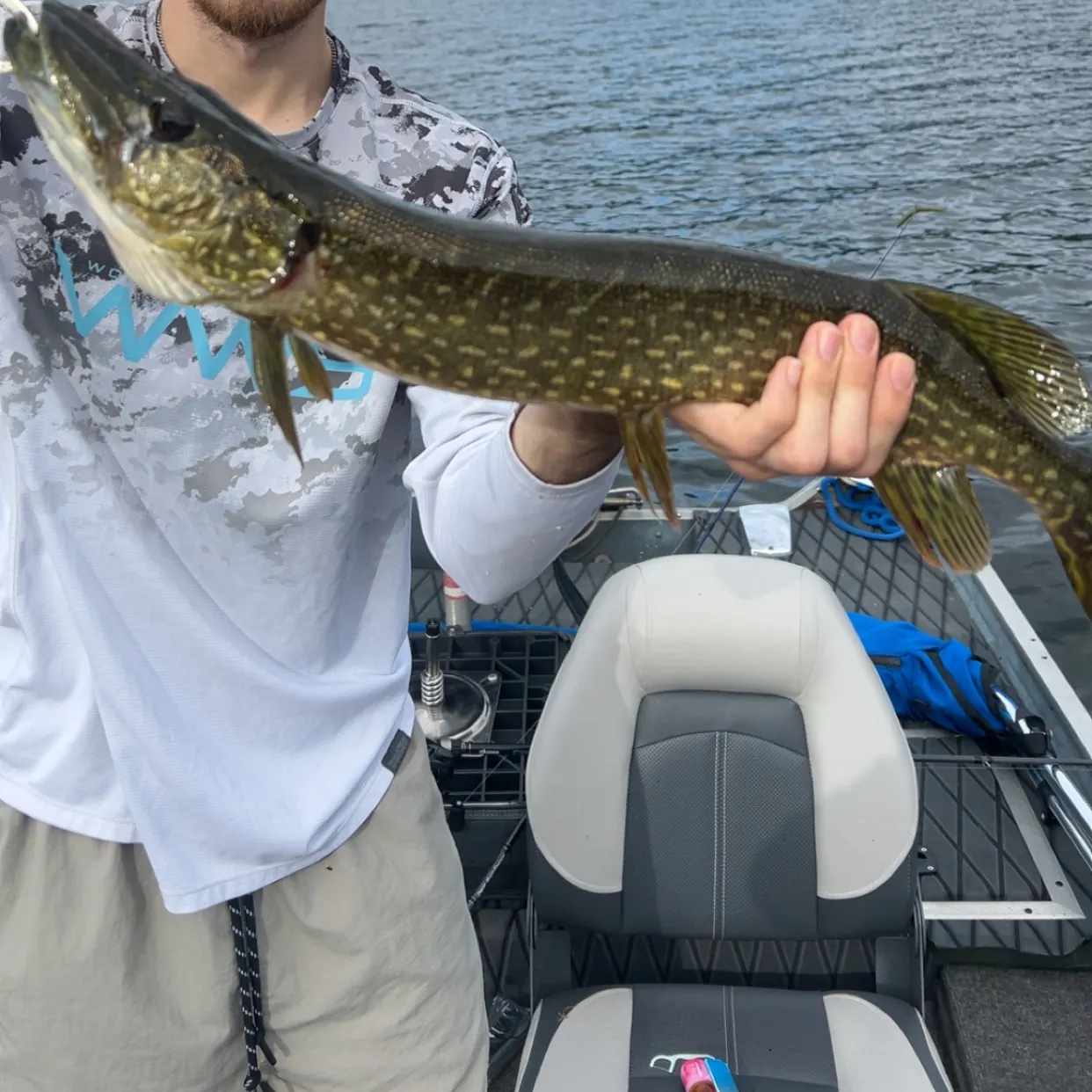Northern pike caught on Fishbrain