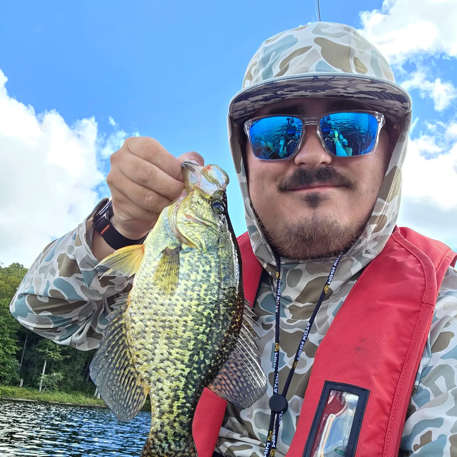 Black crappie caught on Fishbrain