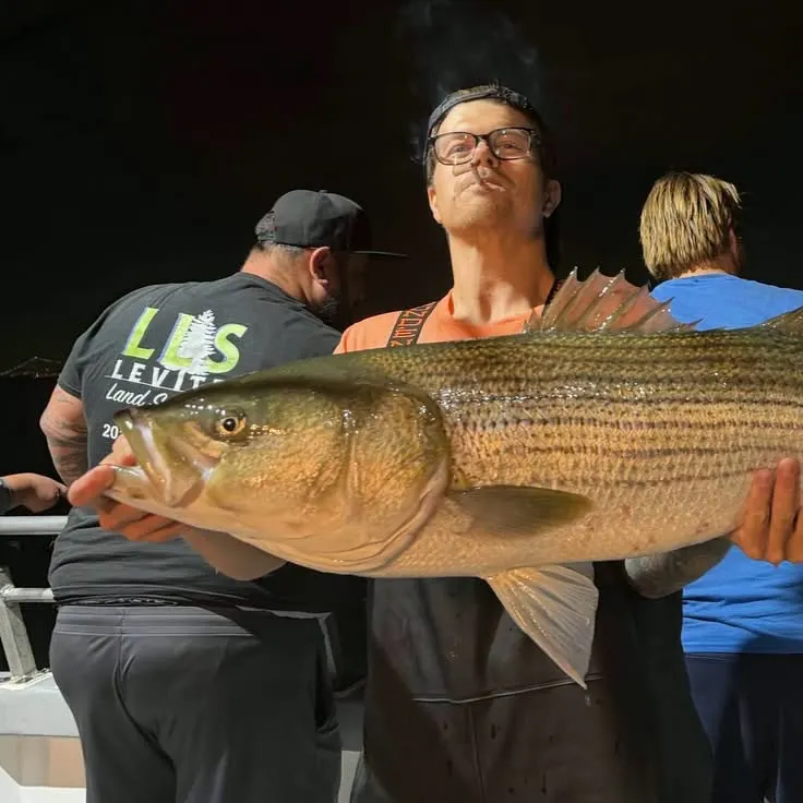 Striped bass caught on Fishbrain