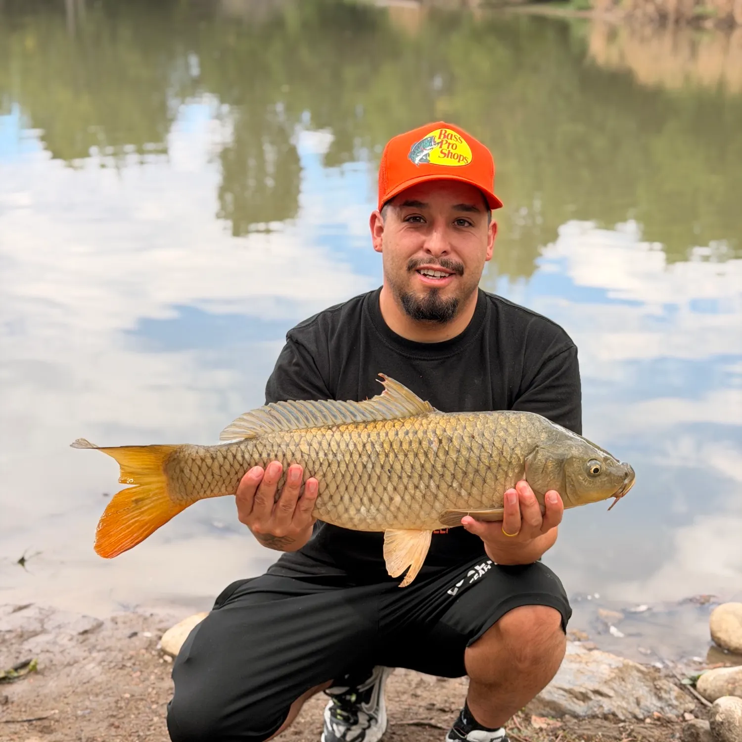 Common carp caught on Fishbrain