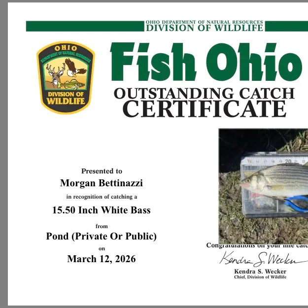 recently logged catches