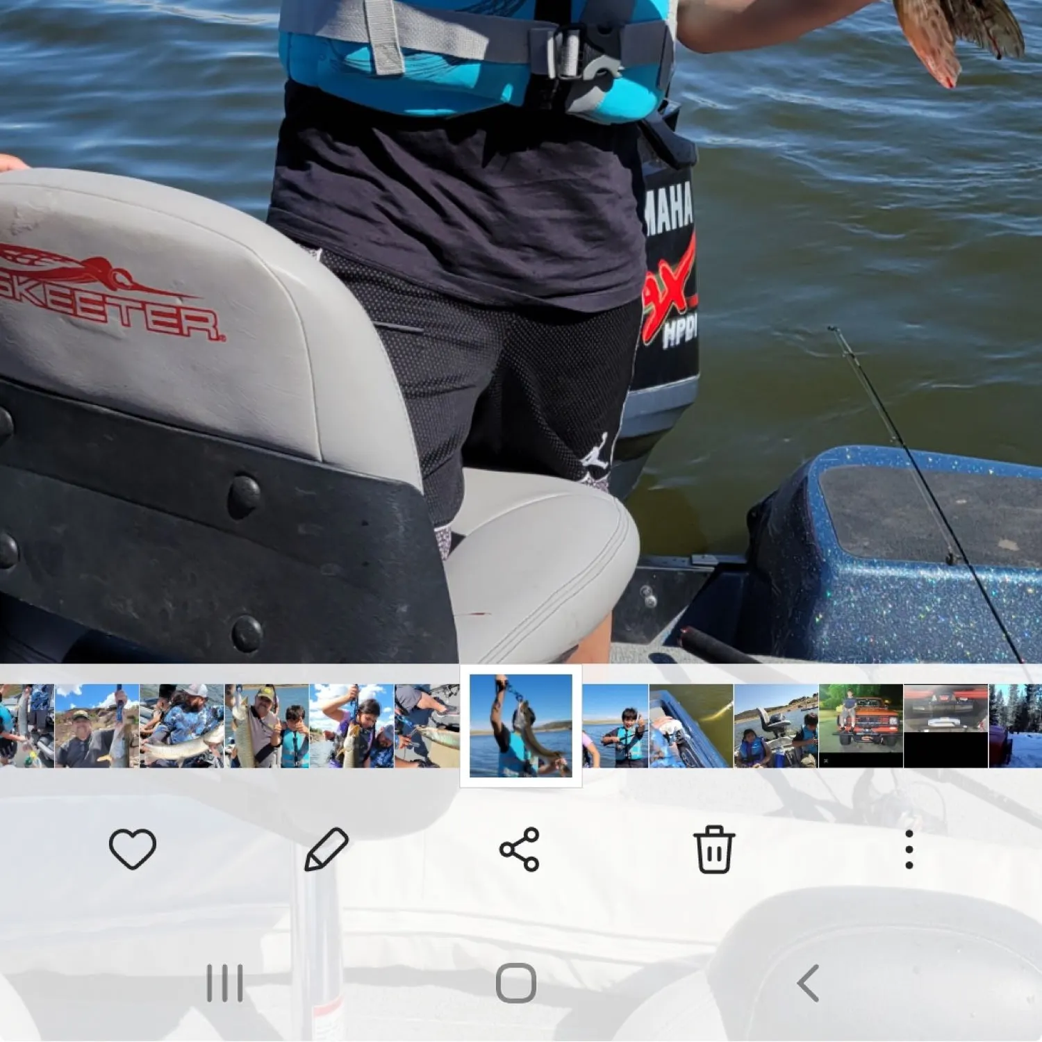 recently logged catches