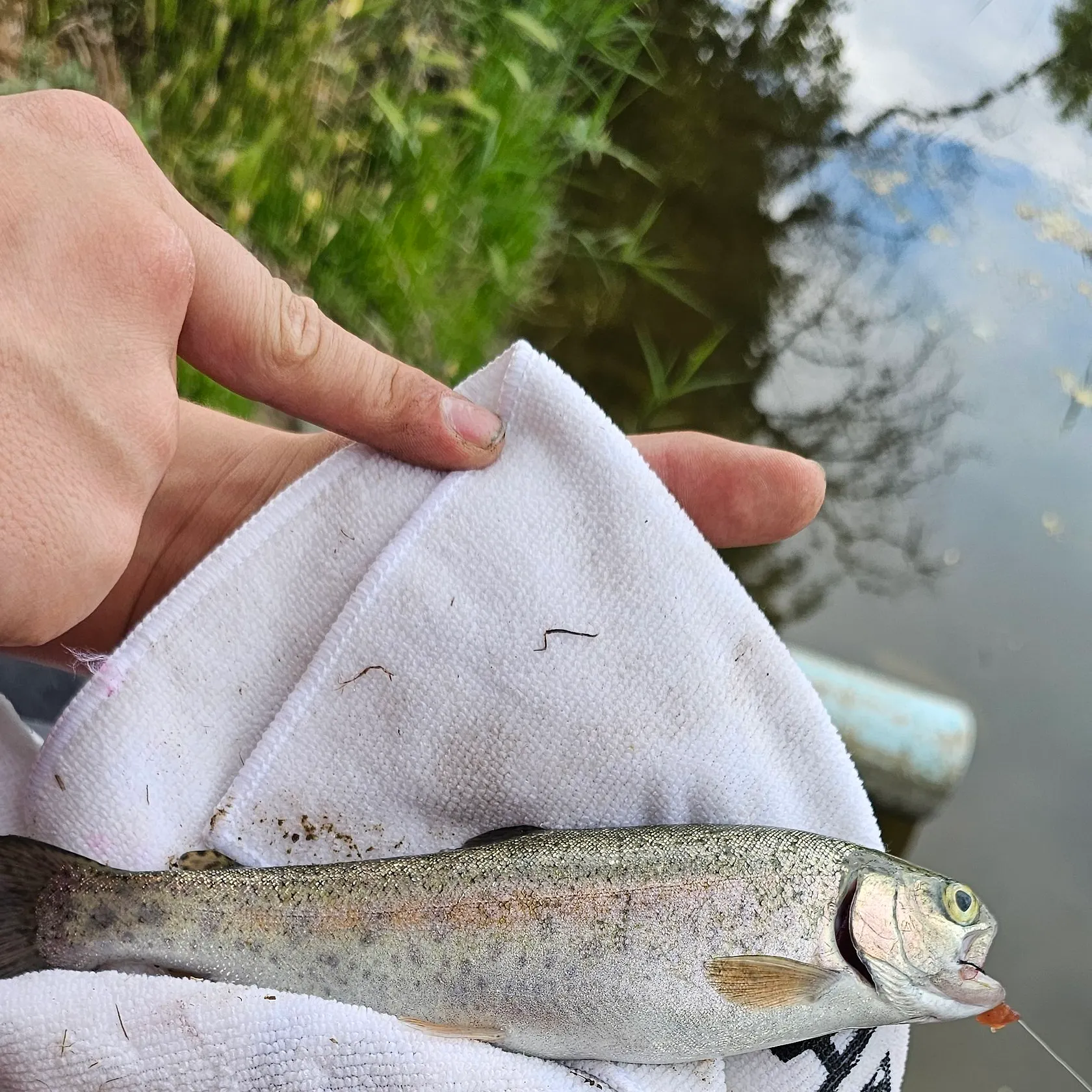 catch