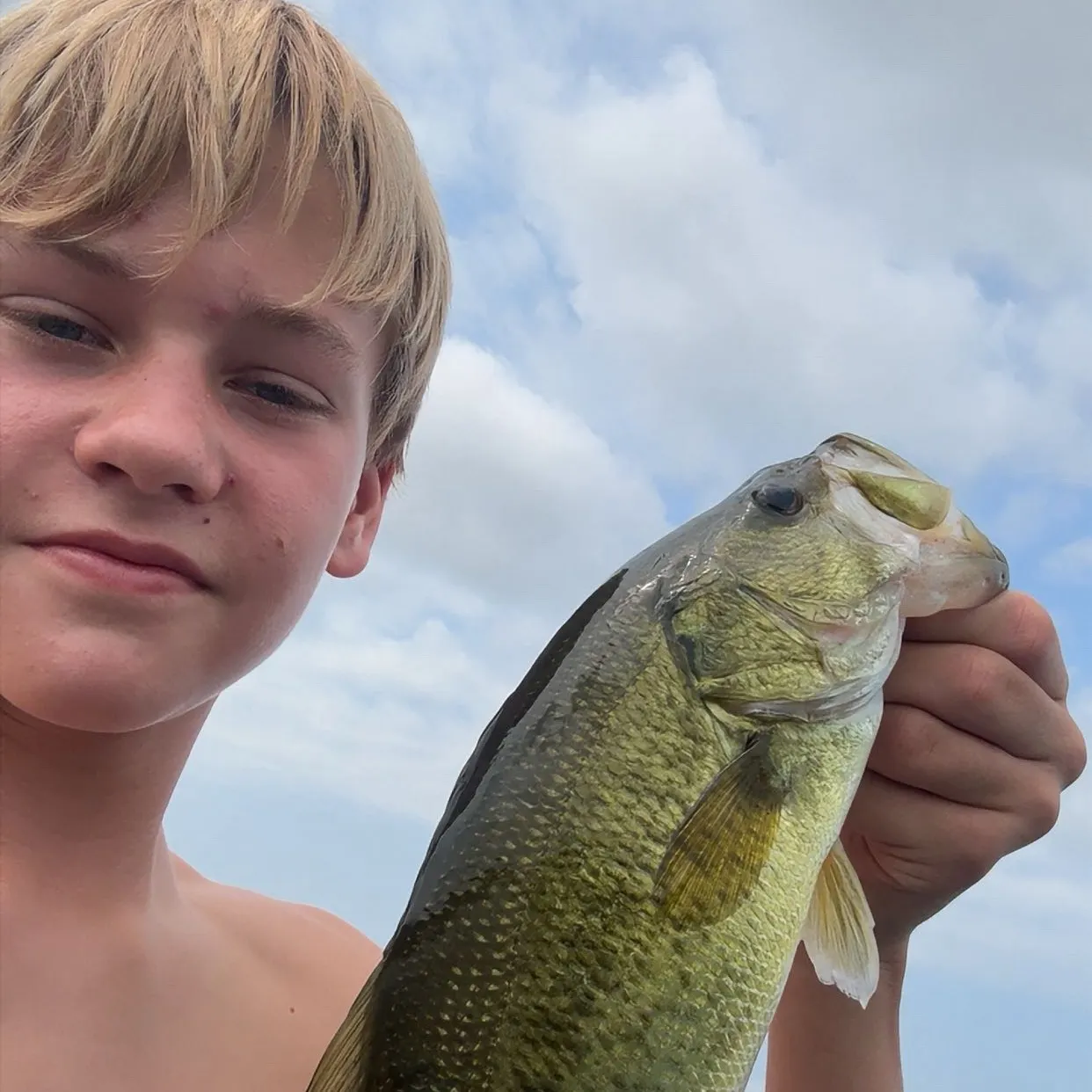 Largemouth bass caught on Fishbrain