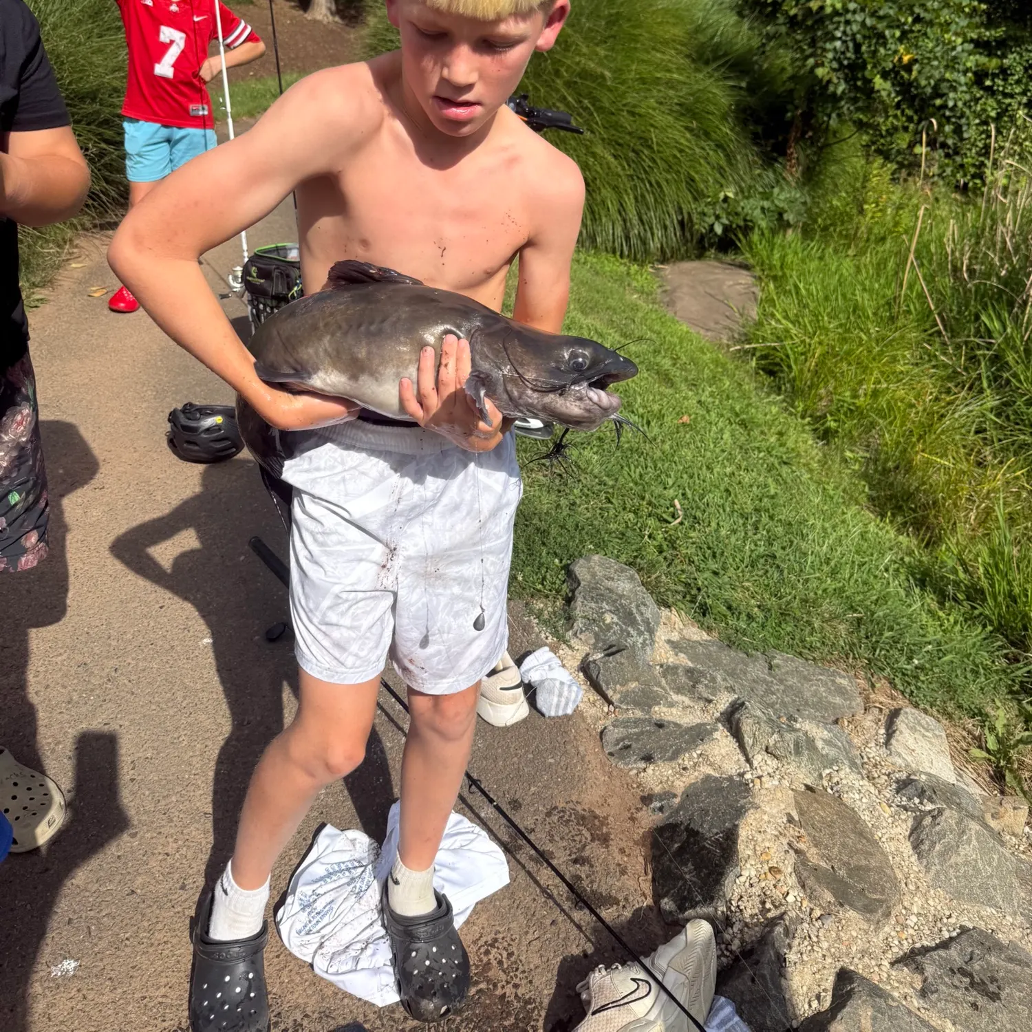 Channel catfish caught on Fishbrain