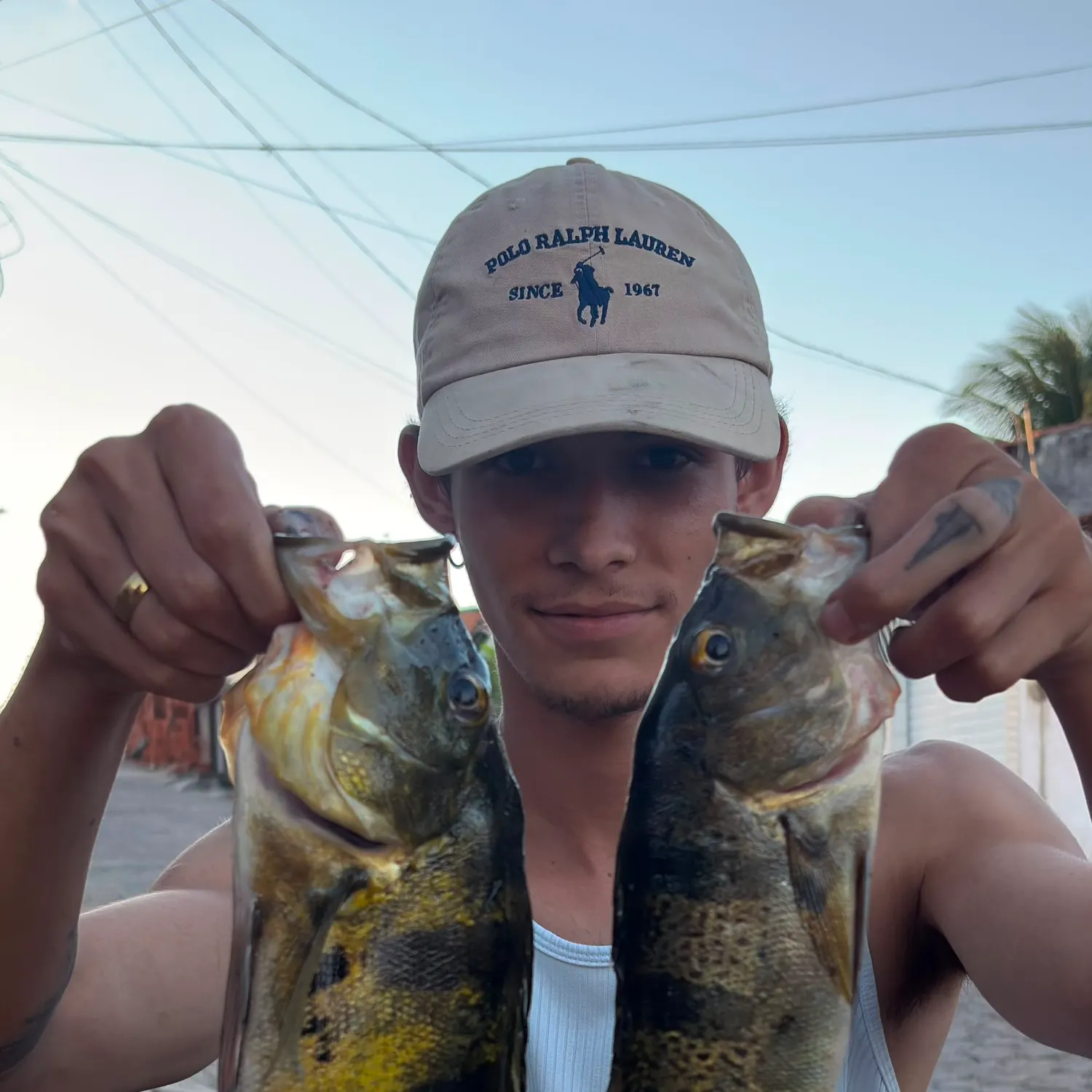 Butterfly peacock bass caught on Fishbrain