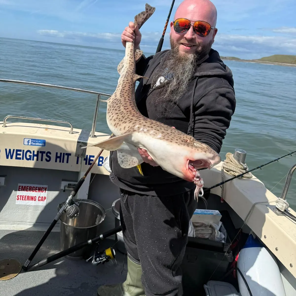 The most recent Nursehound catches on Fishbrain