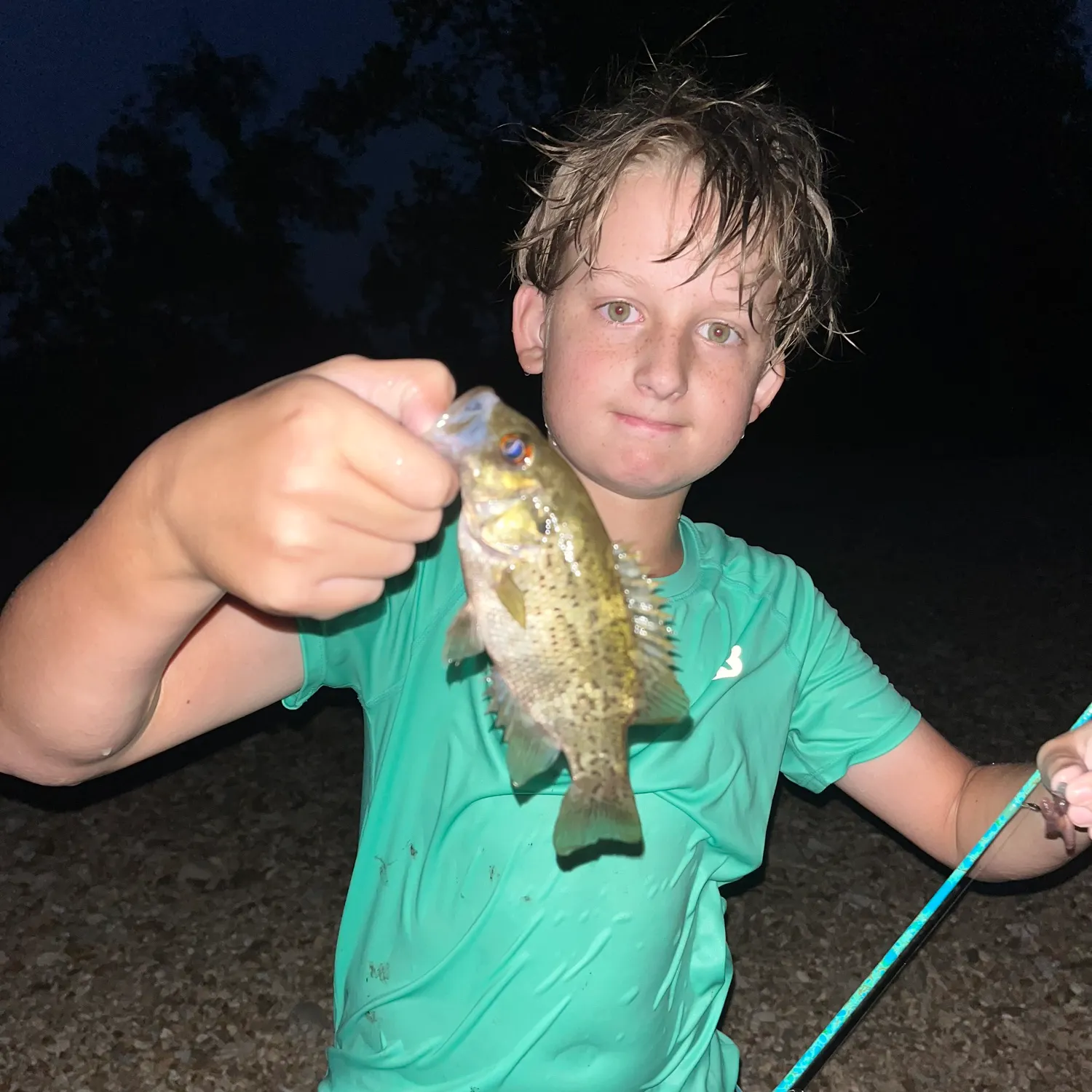 Rock bass caught on Fishbrain