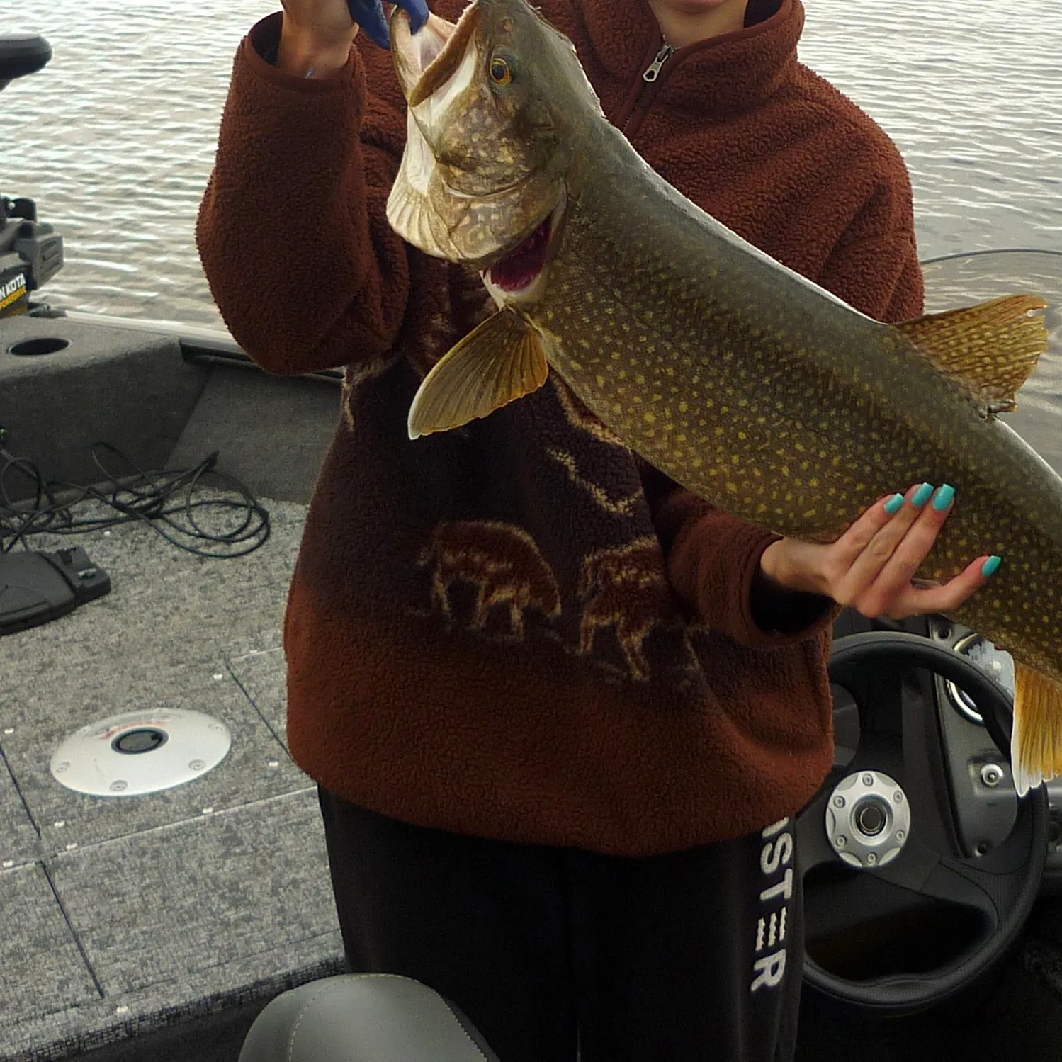 The most recent Lake char catches on Fishbrain
