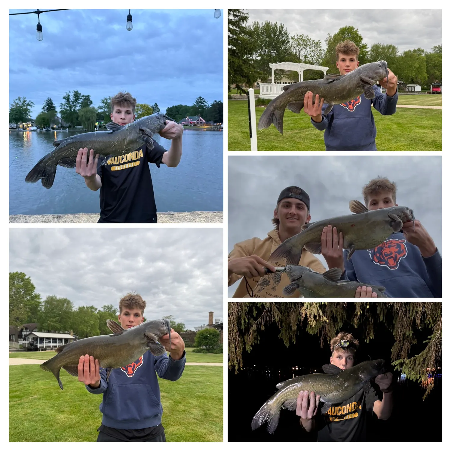 recently logged catches