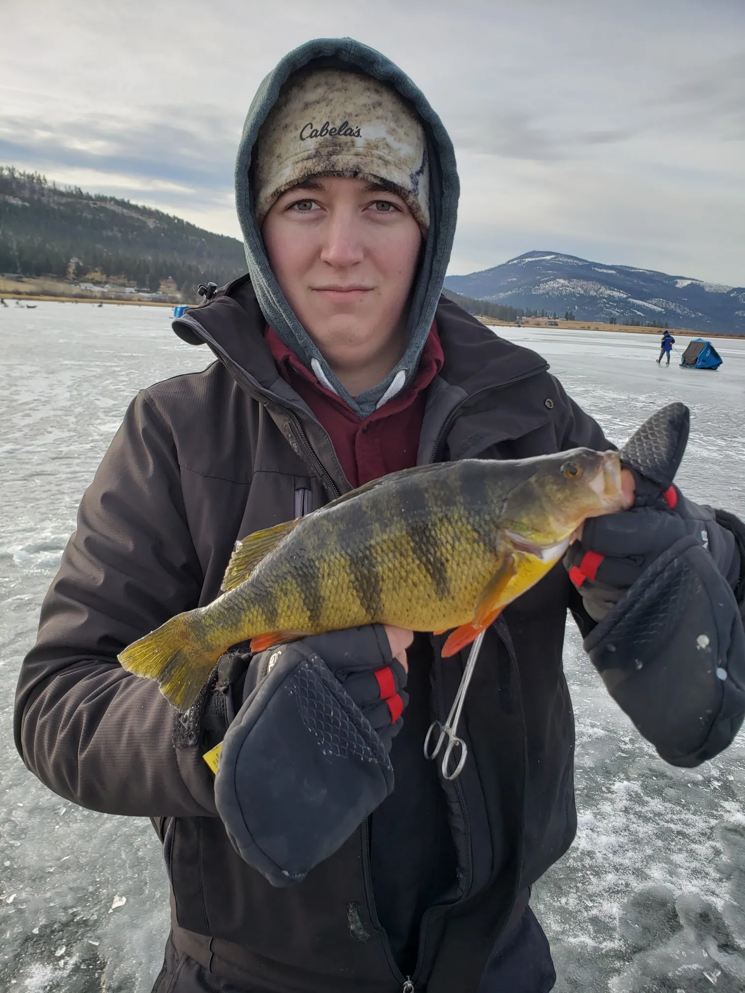 Post image from 4fish9923