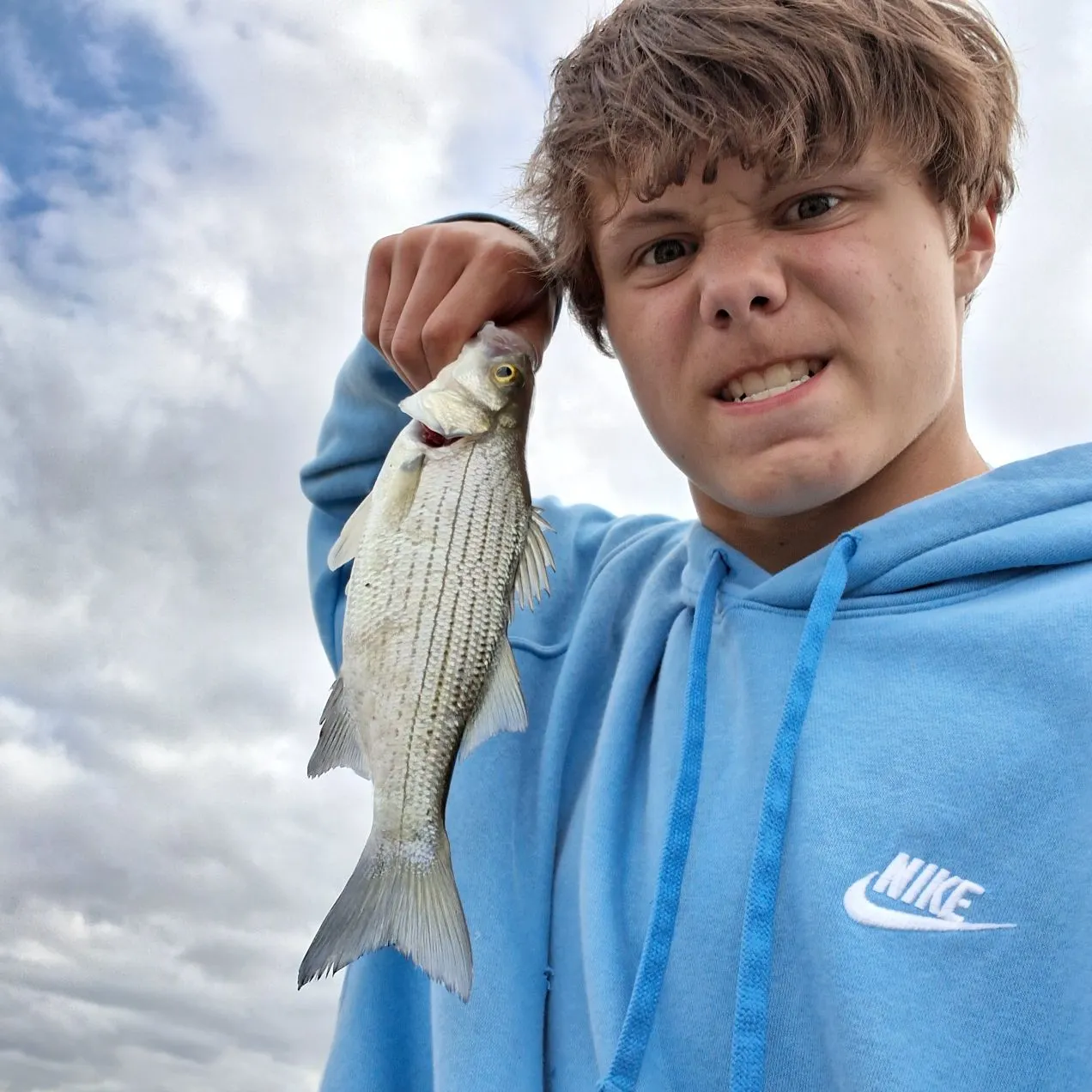 The most recent Hybrid striped bass catches on Fishbrain
