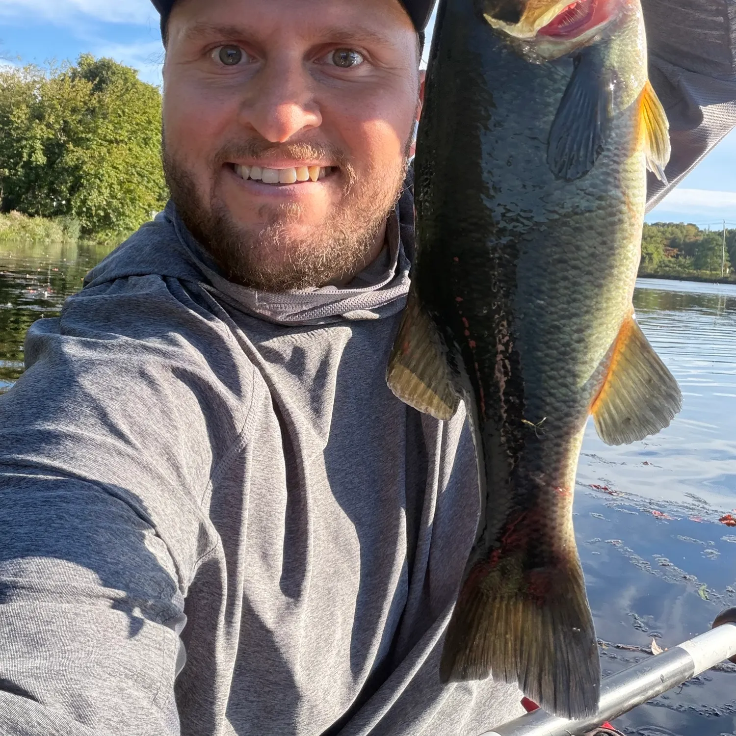 Largemouth bass caught on Fishbrain