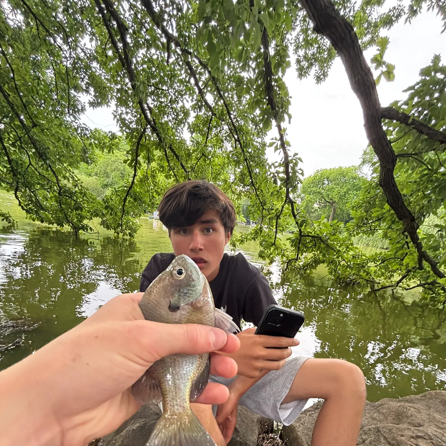 catch
