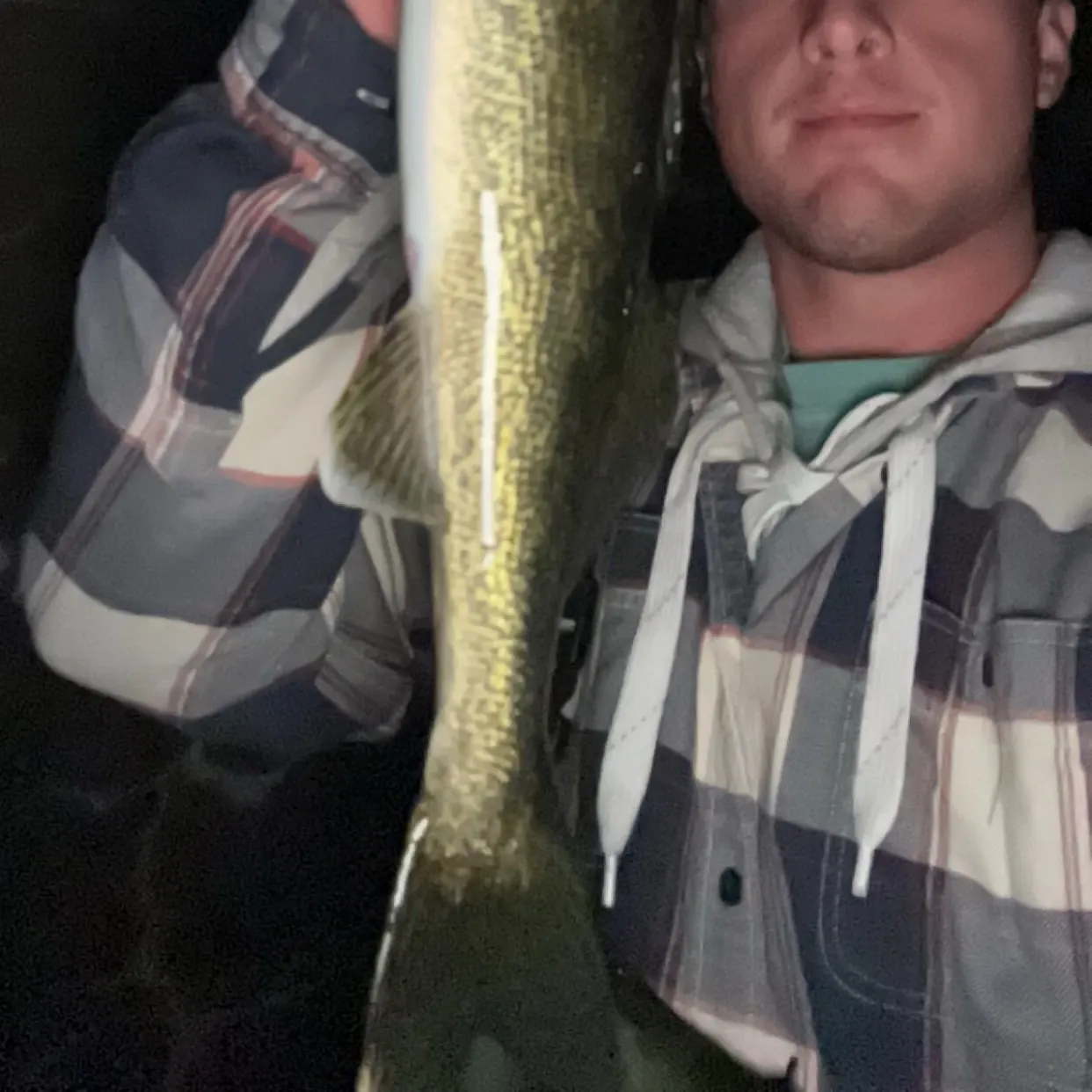 Walleye caught on Fishbrain