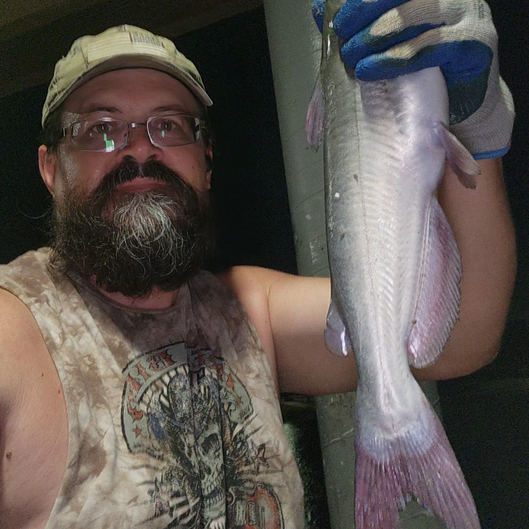 Channel catfish caught on Fishbrain