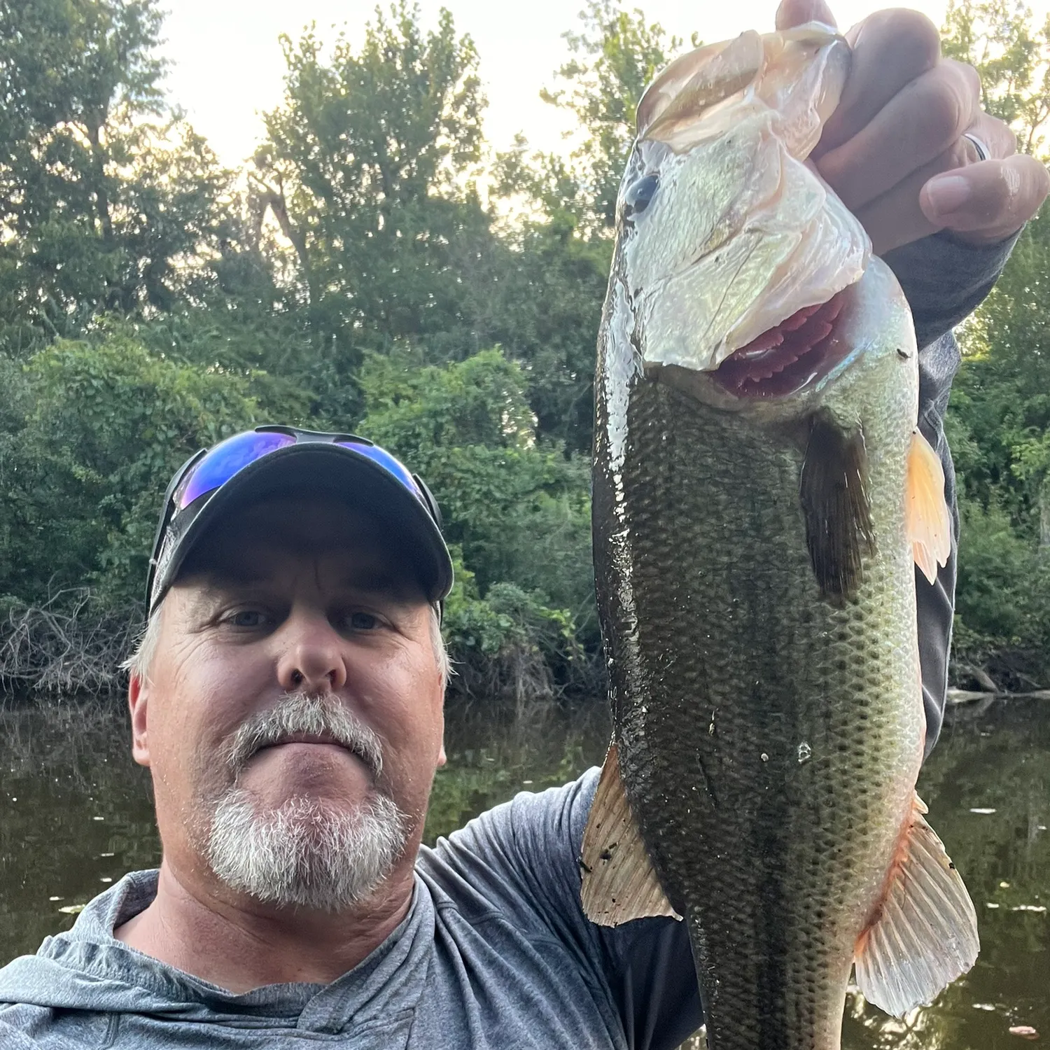 Largemouth bass caught on Fishbrain