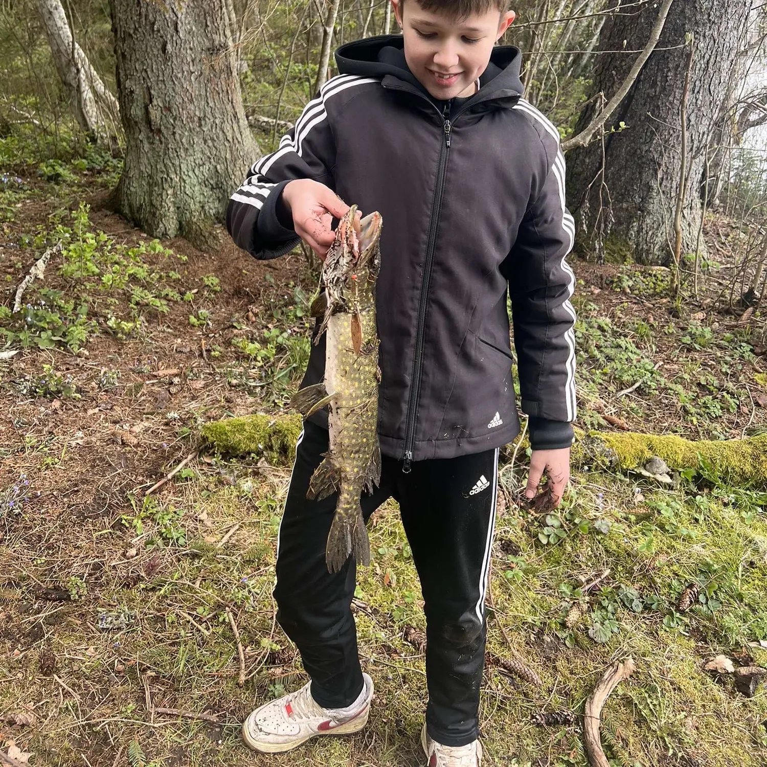 Northern pike caught on Fishbrain
