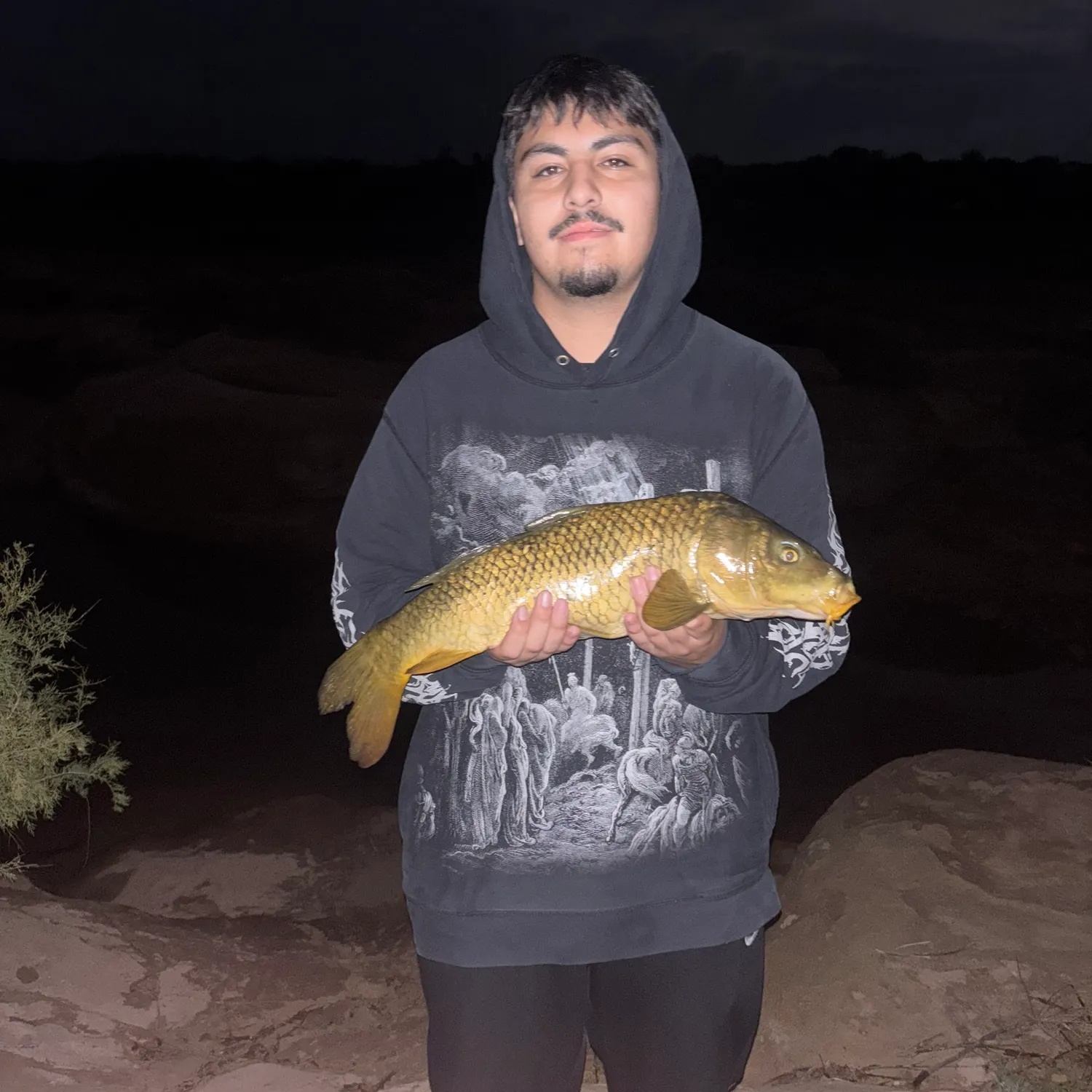 Common carp caught on Fishbrain
