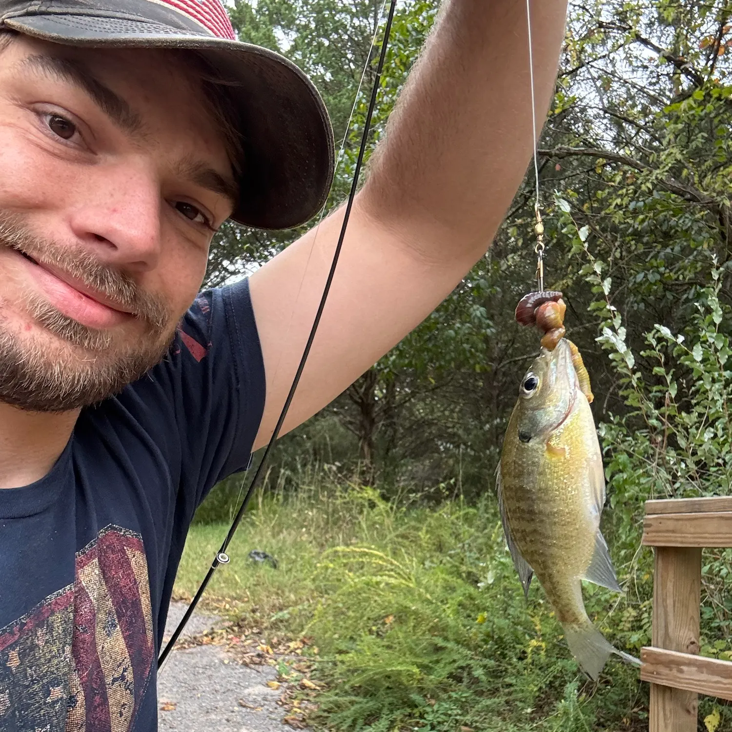 Bluegill caught on Fishbrain