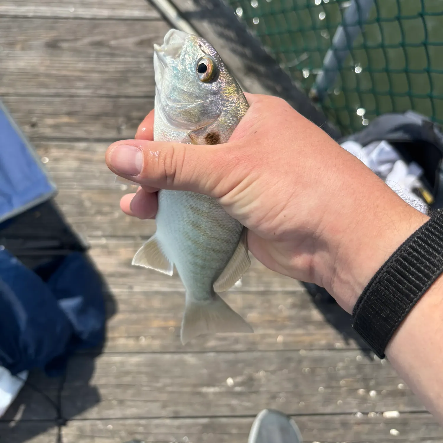 catch