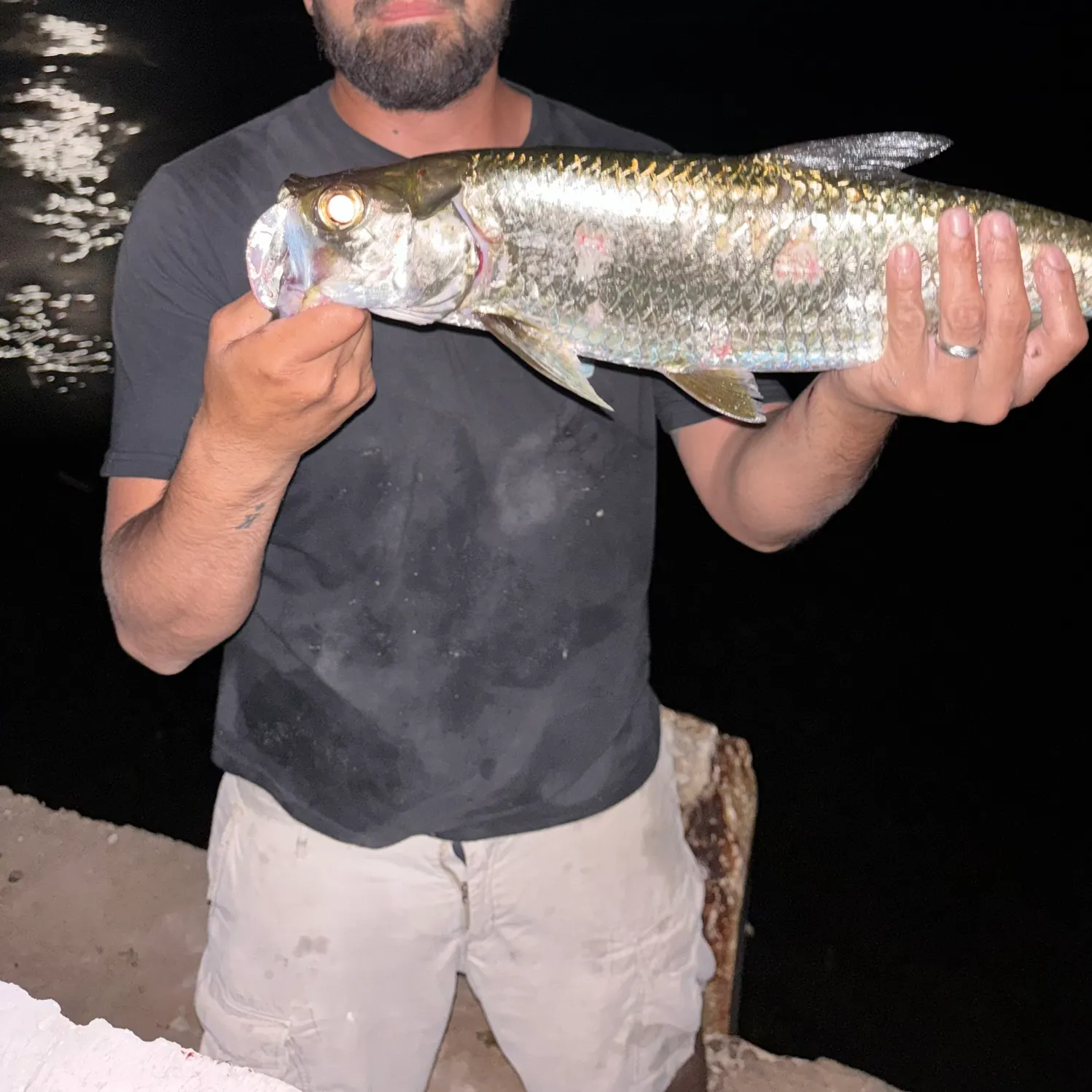 The most recent Tarpon catches on Fishbrain