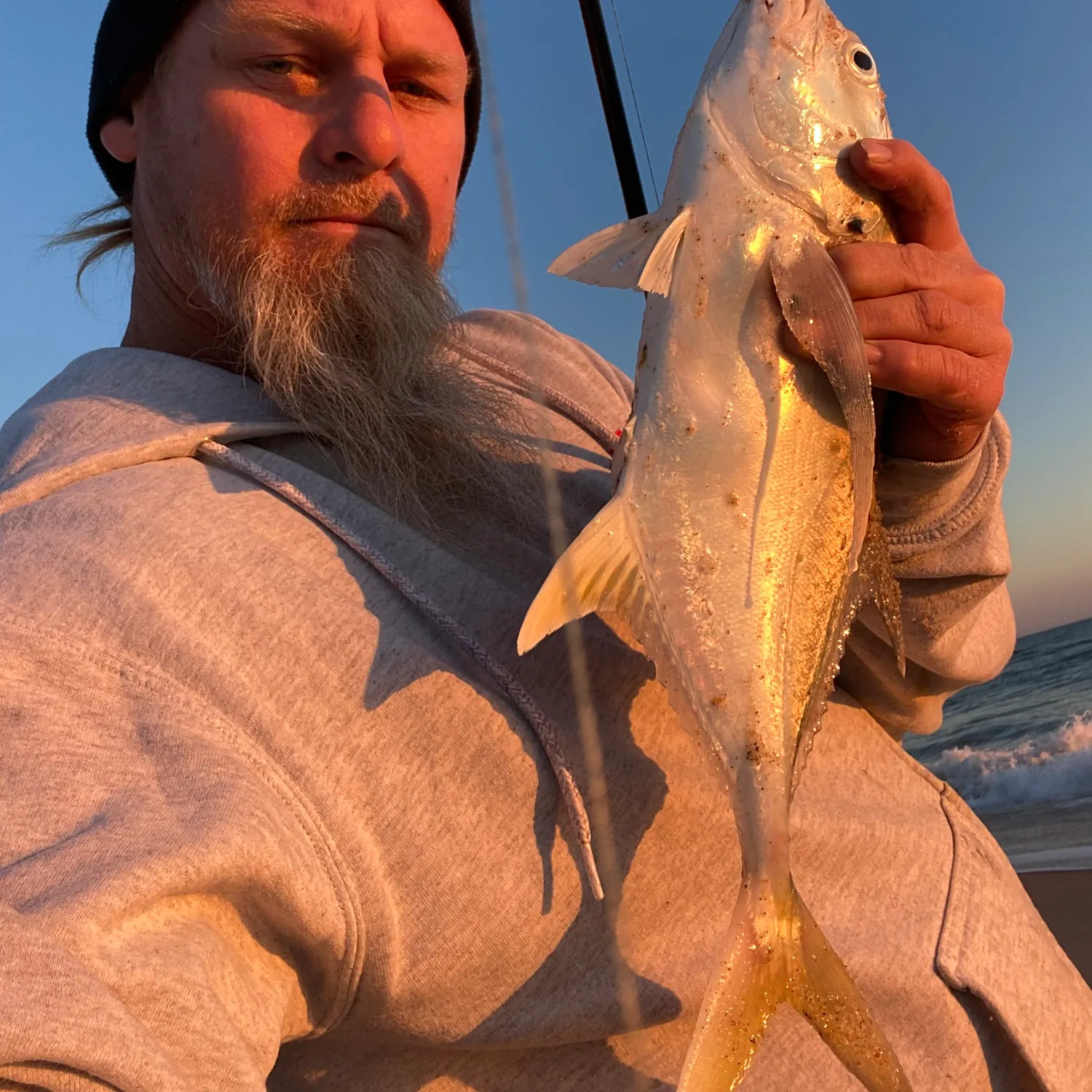 The most recent Crevalle jack catches on Fishbrain