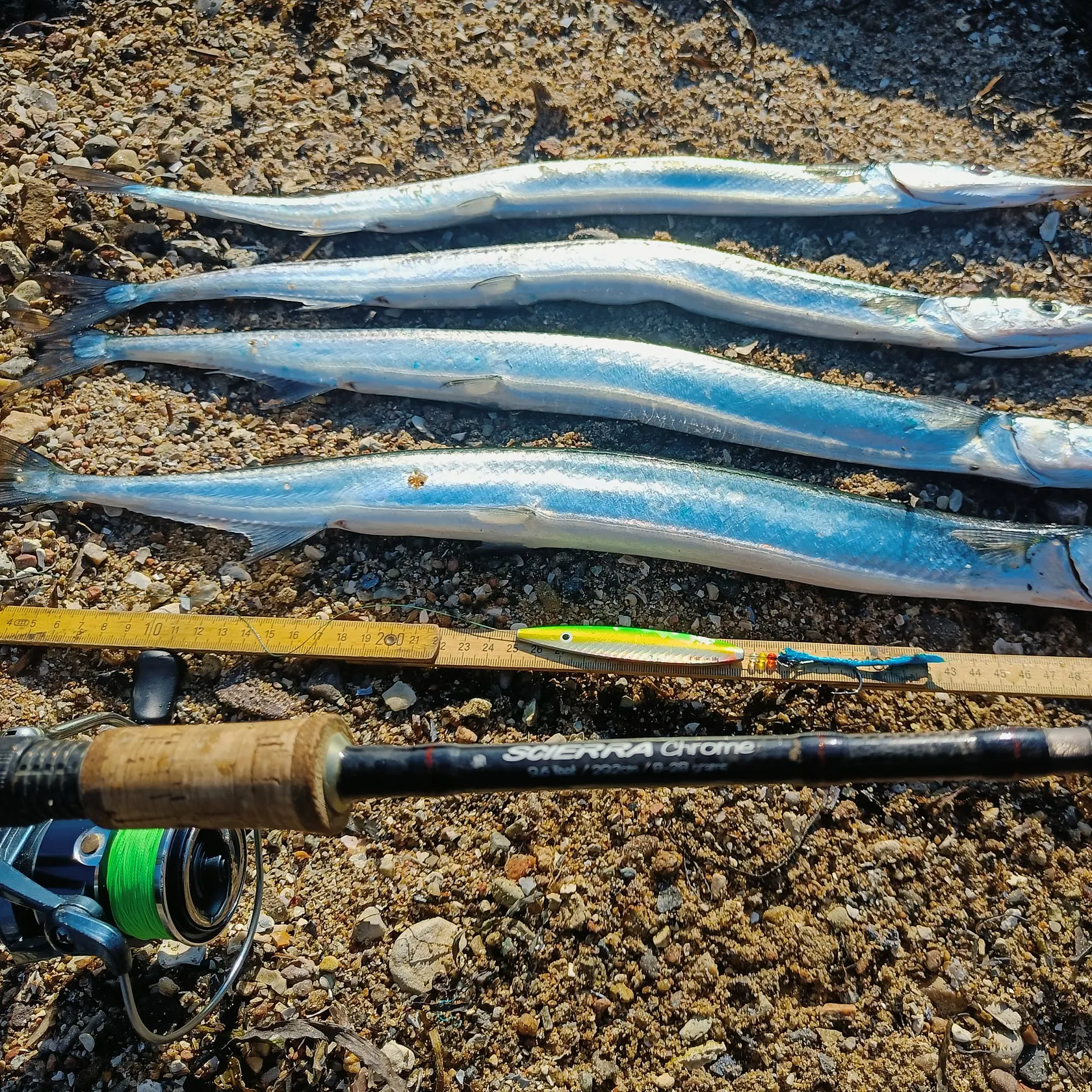 recently logged catches