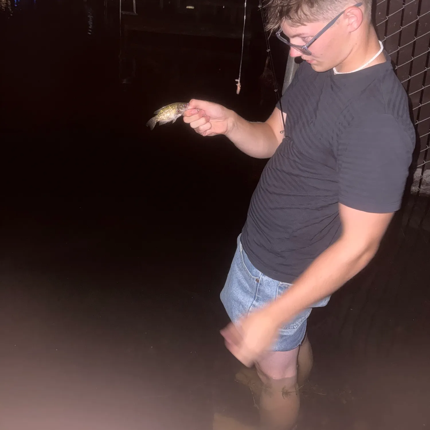Rock bass caught on Fishbrain