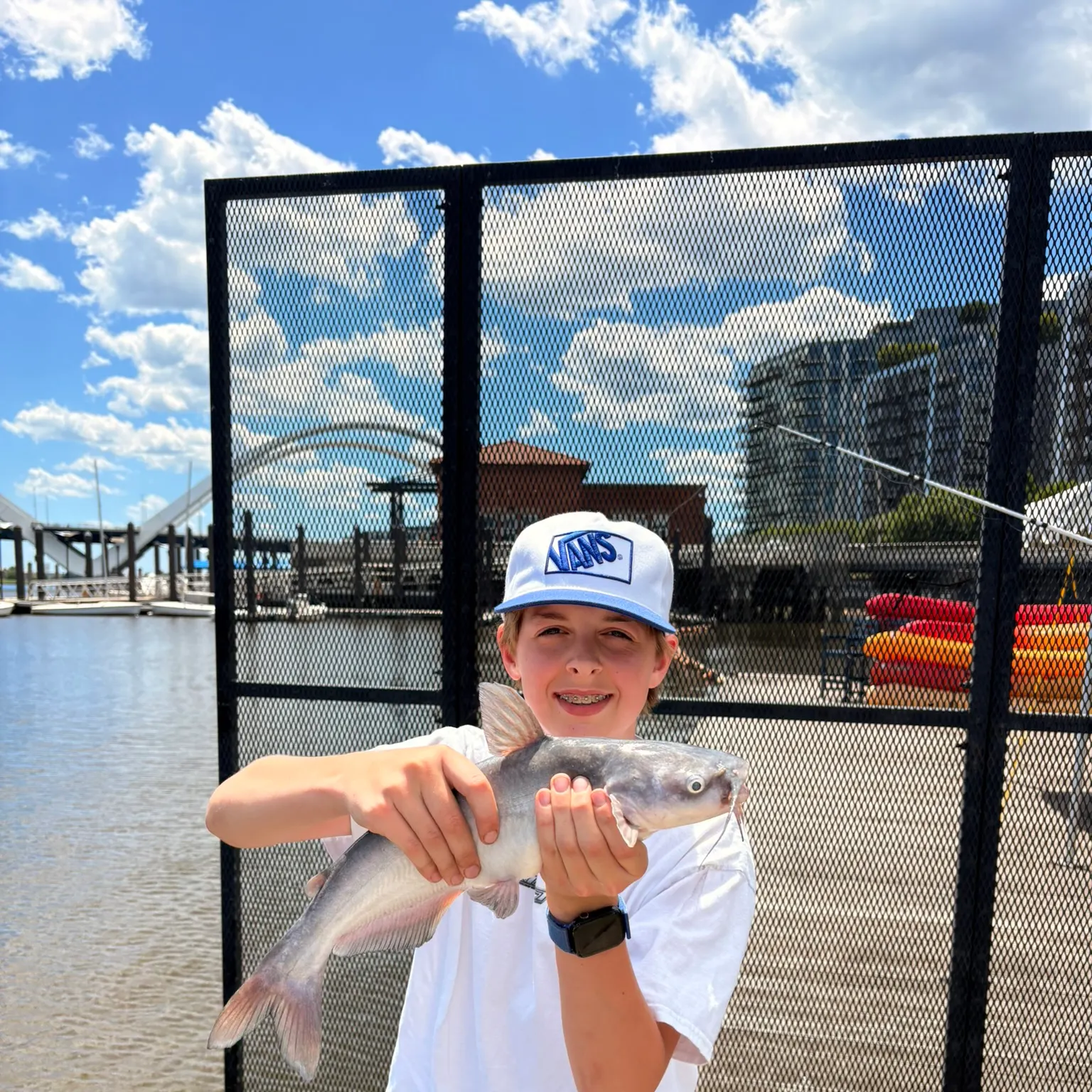 The most recent Blue catfish catches on Fishbrain