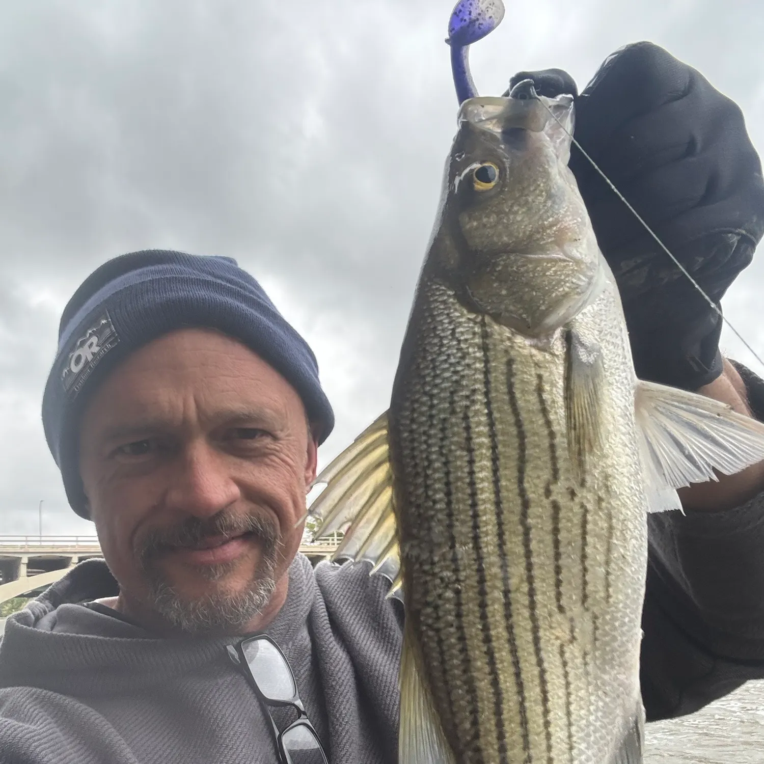 Wiper caught on Fishbrain