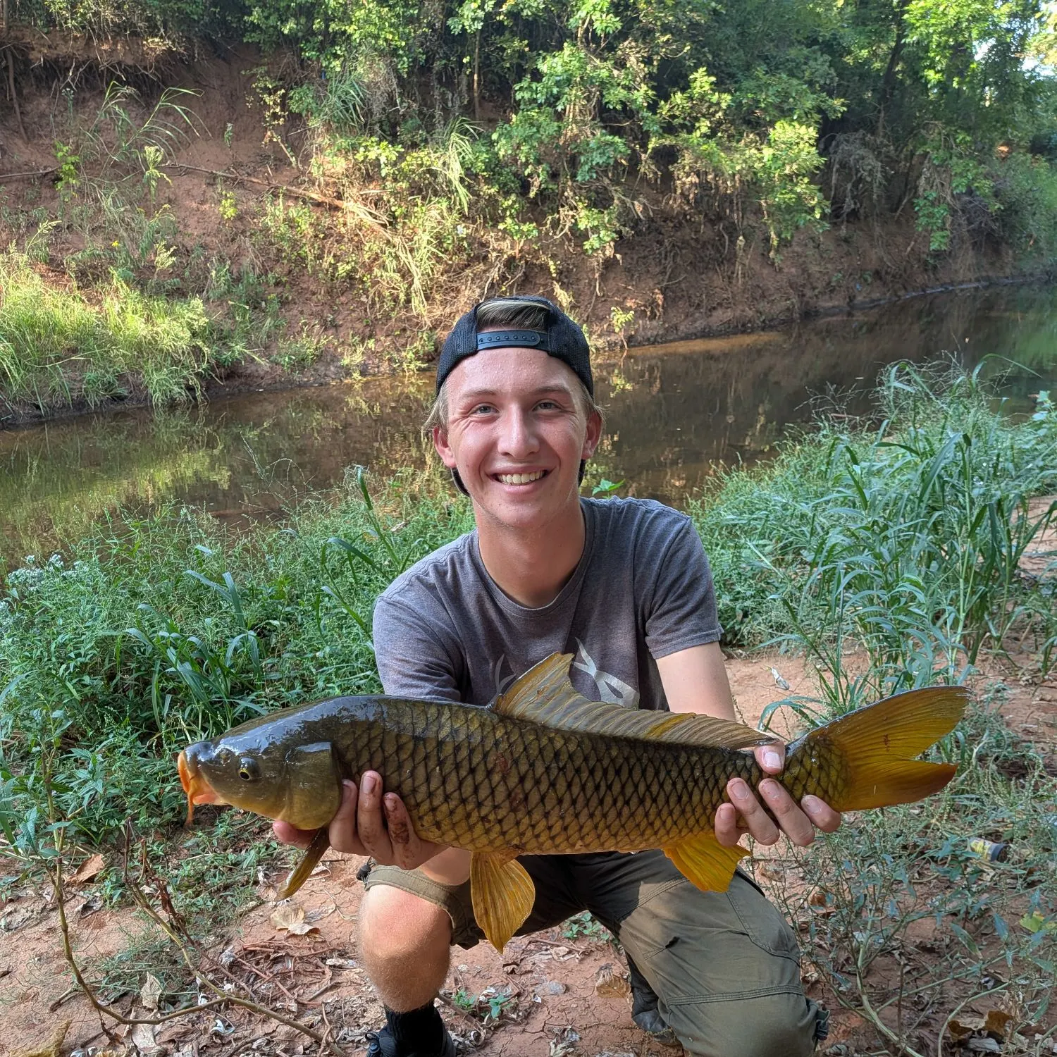 Common carp caught on Fishbrain