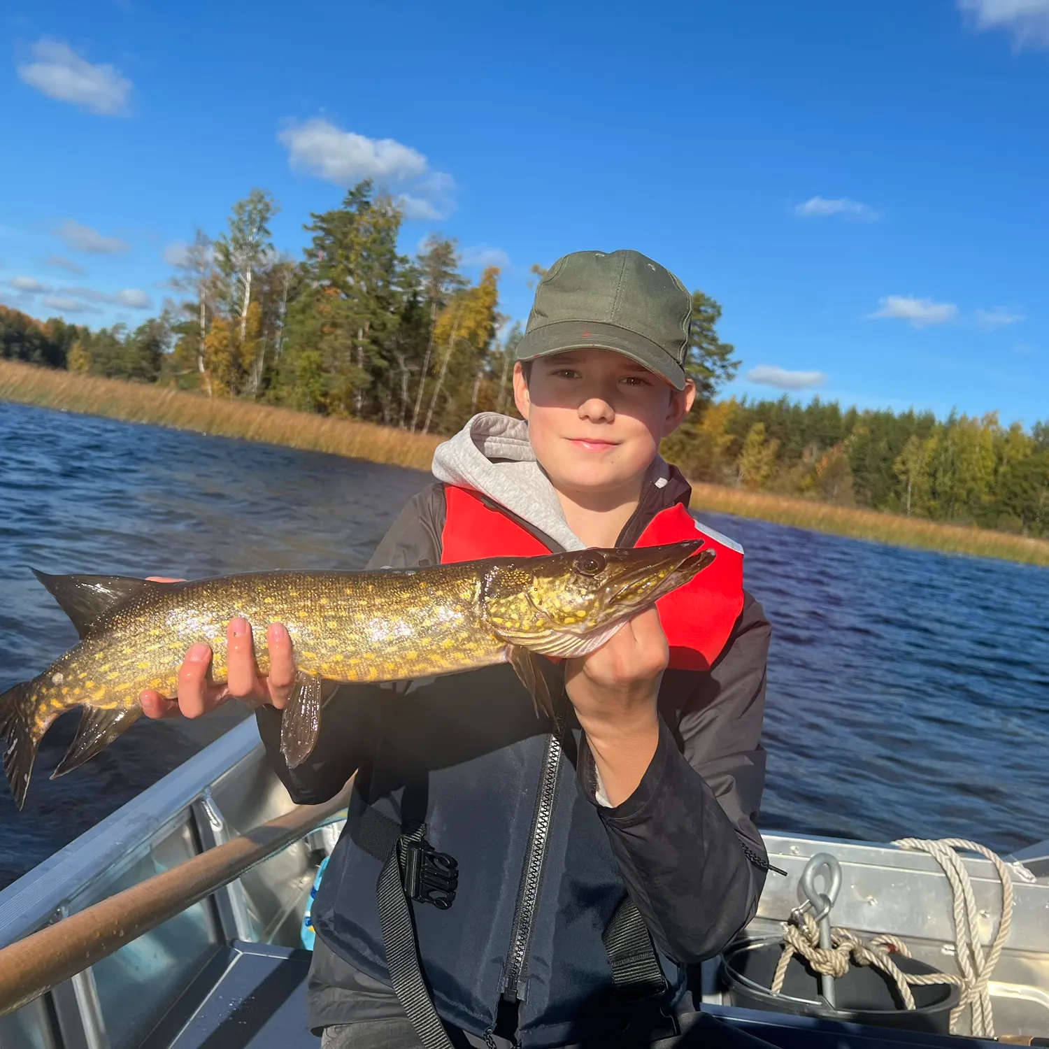 Northern pike caught on Fishbrain