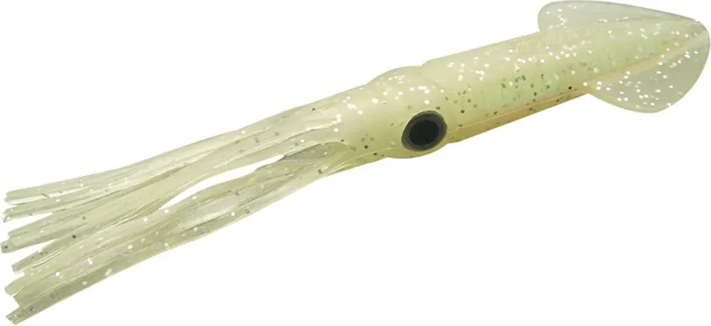 Squids