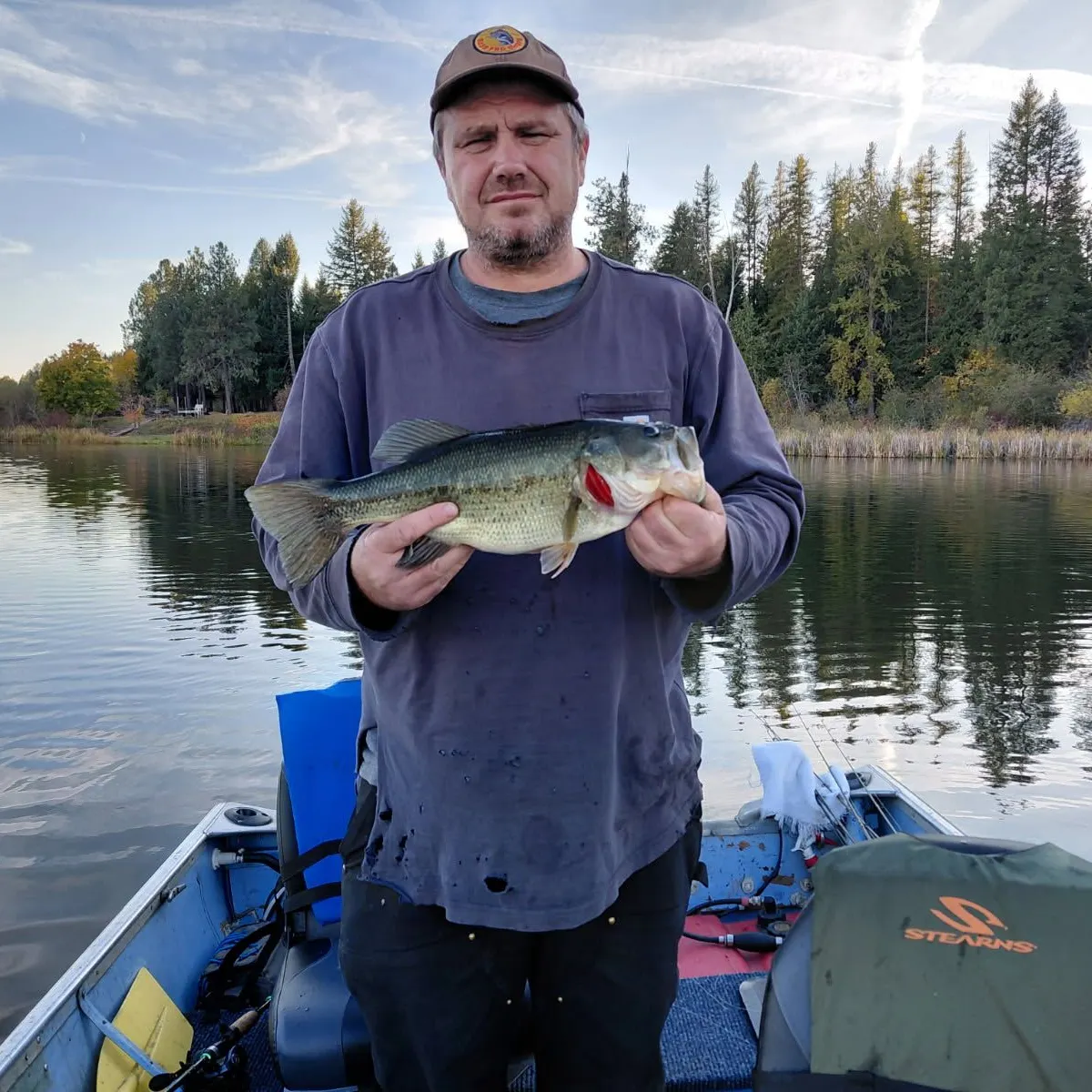 Largemouth bass caught on Fishbrain