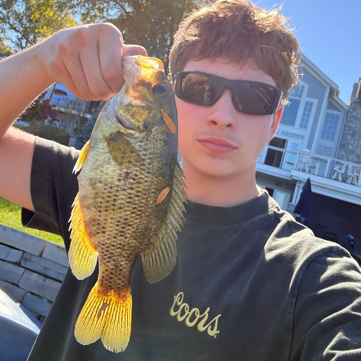Rock bass caught on Fishbrain