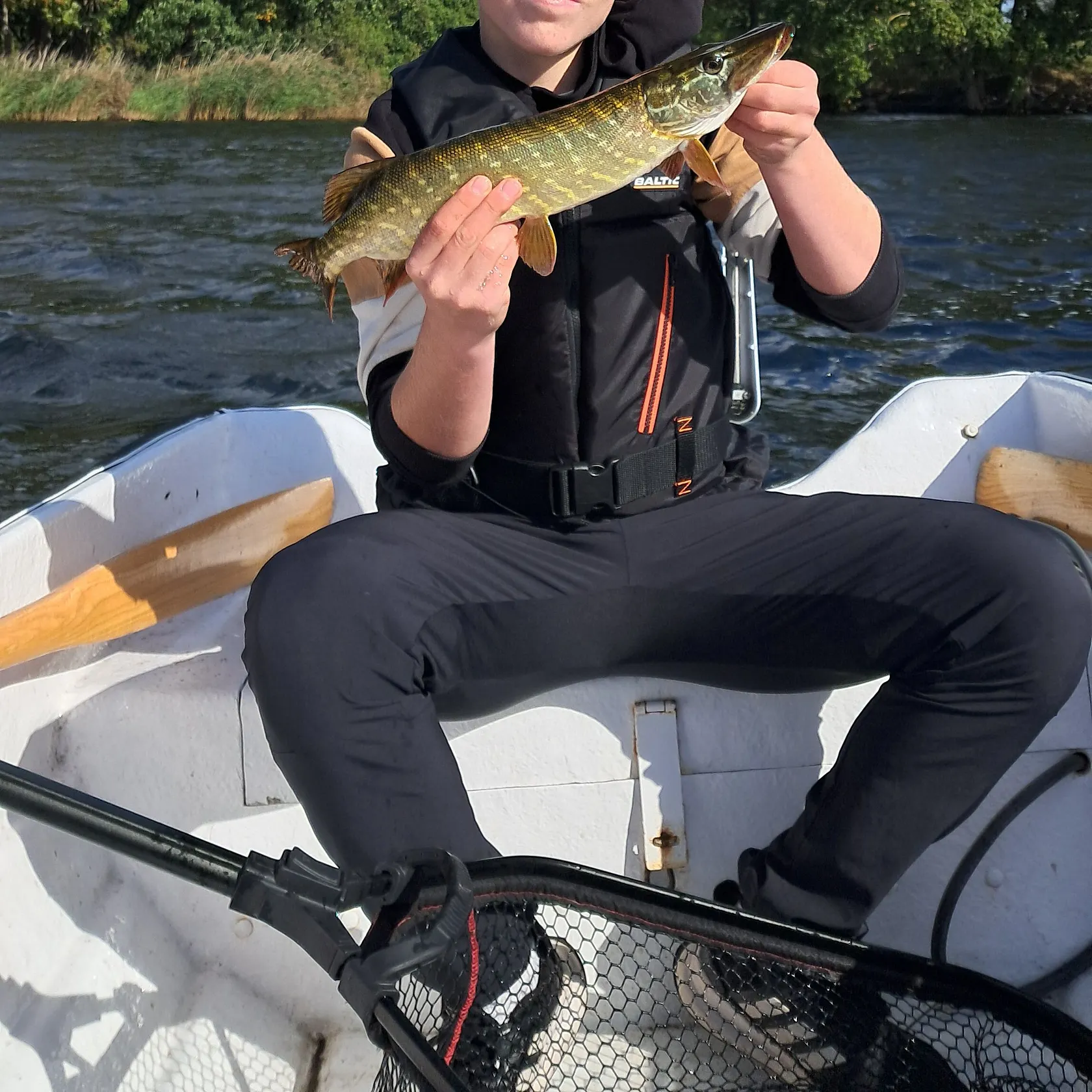 Northern pike caught on Fishbrain