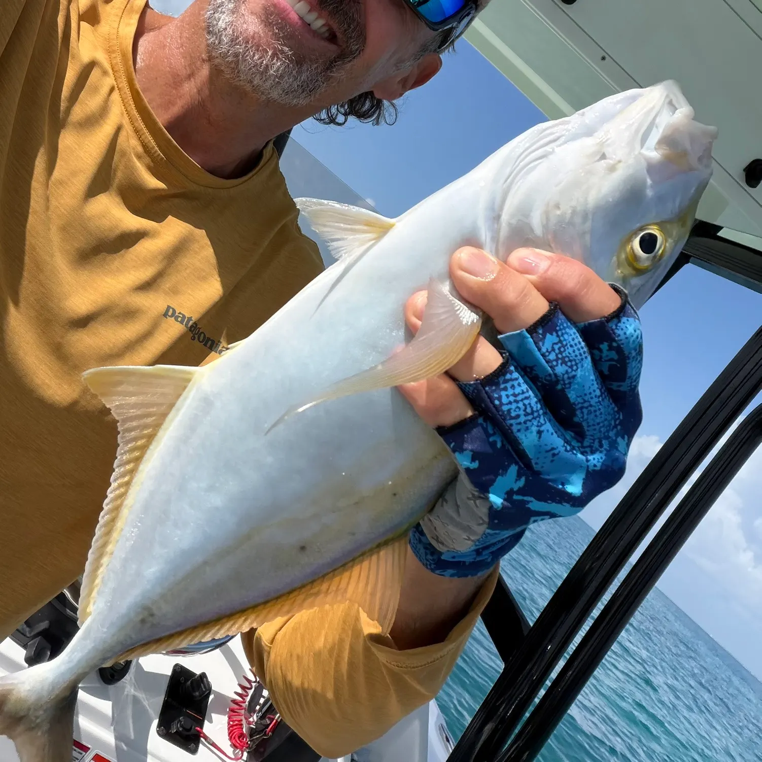 The most recent Lesser amberjack catches on Fishbrain